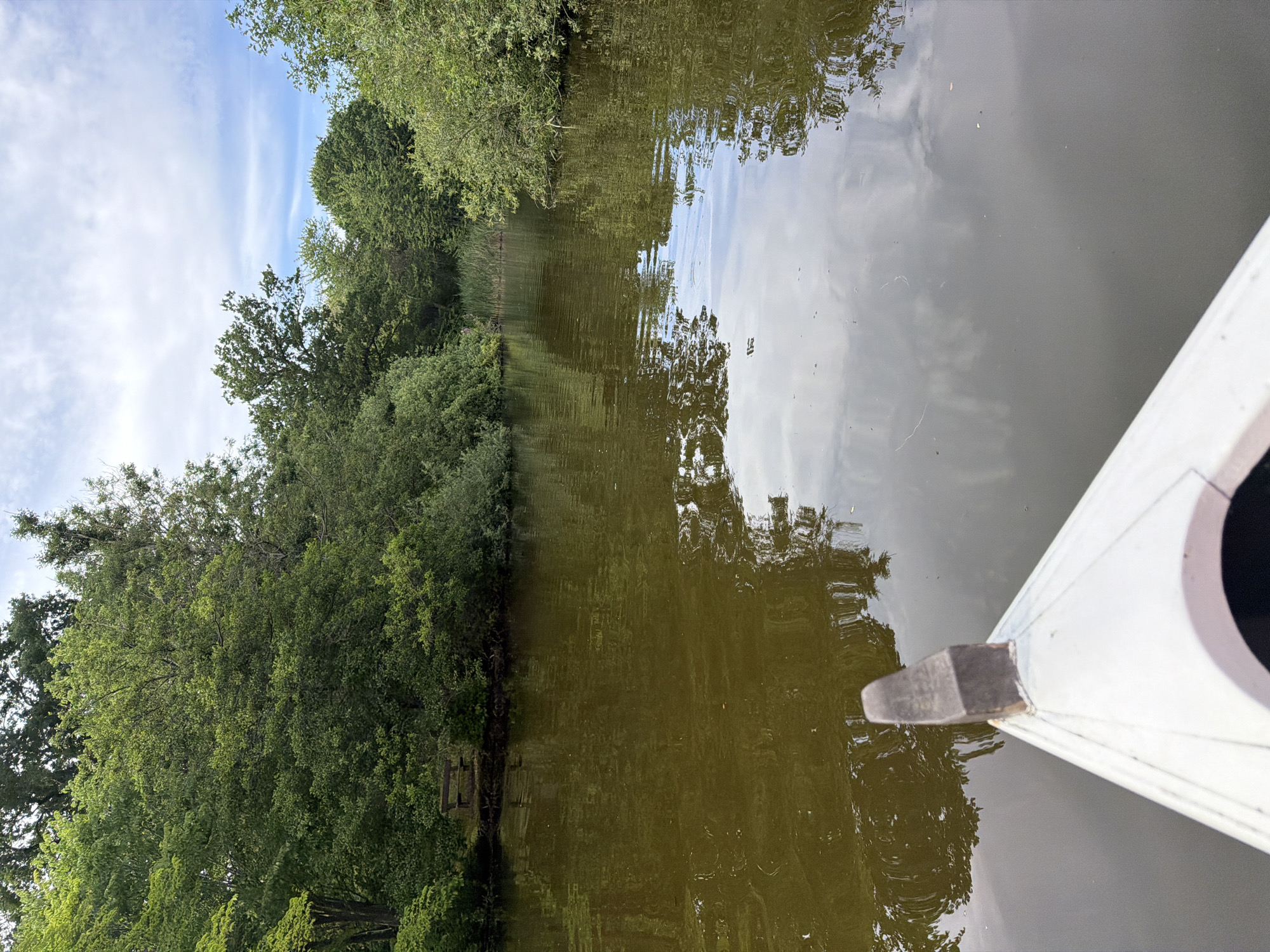 The image depicts a view from a white boat navigating a calm, murky body of water, likely a canal or small lake, surrounded by dense green foliage. The vegetation on the banks is lush and overgrown, with trees reaching towards a cloudy sky. In the distance, on the left bank, a wooden bench is visible, nestled amongst the trees. The water reflects the sky and the surrounding greenery, creating a slightly distorted, rippling effect. The foreground of the image shows the bow of the white boat, with a dark, wooden element at its tip. The scene suggests a tranquil, natural setting, possibly in a park or rural area. The location is identified as Allerslev, Denmark. There are no people visible in the image.