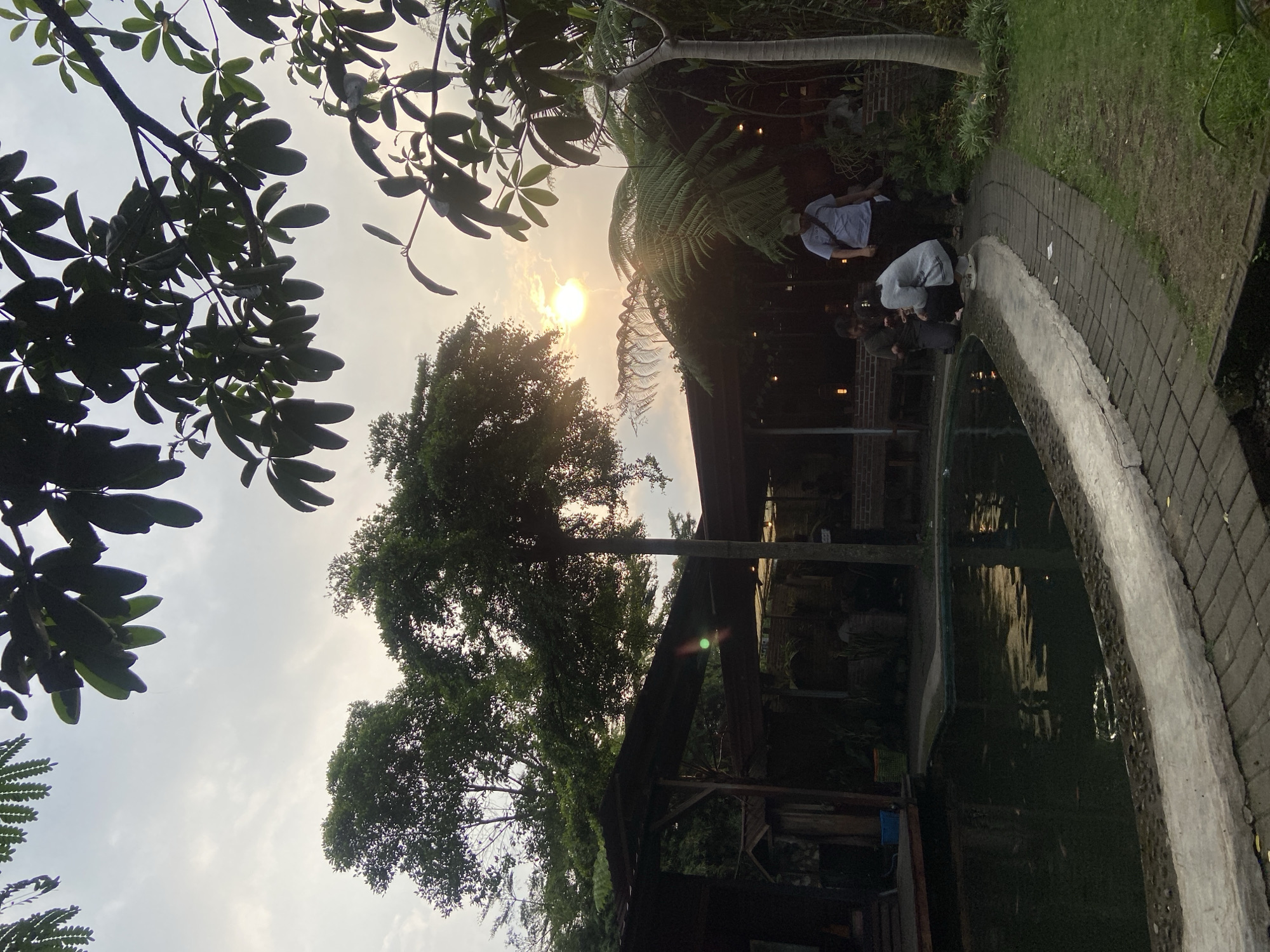 The image shows a pond with a paved edge, with people standing by it. The pond is surrounded by vegetation, including trees and ferns. A building is visible in the background, and the sun is setting in the sky, creating a silhouette effect. The scene appears to be located in Tamiajeng, Indonesia.