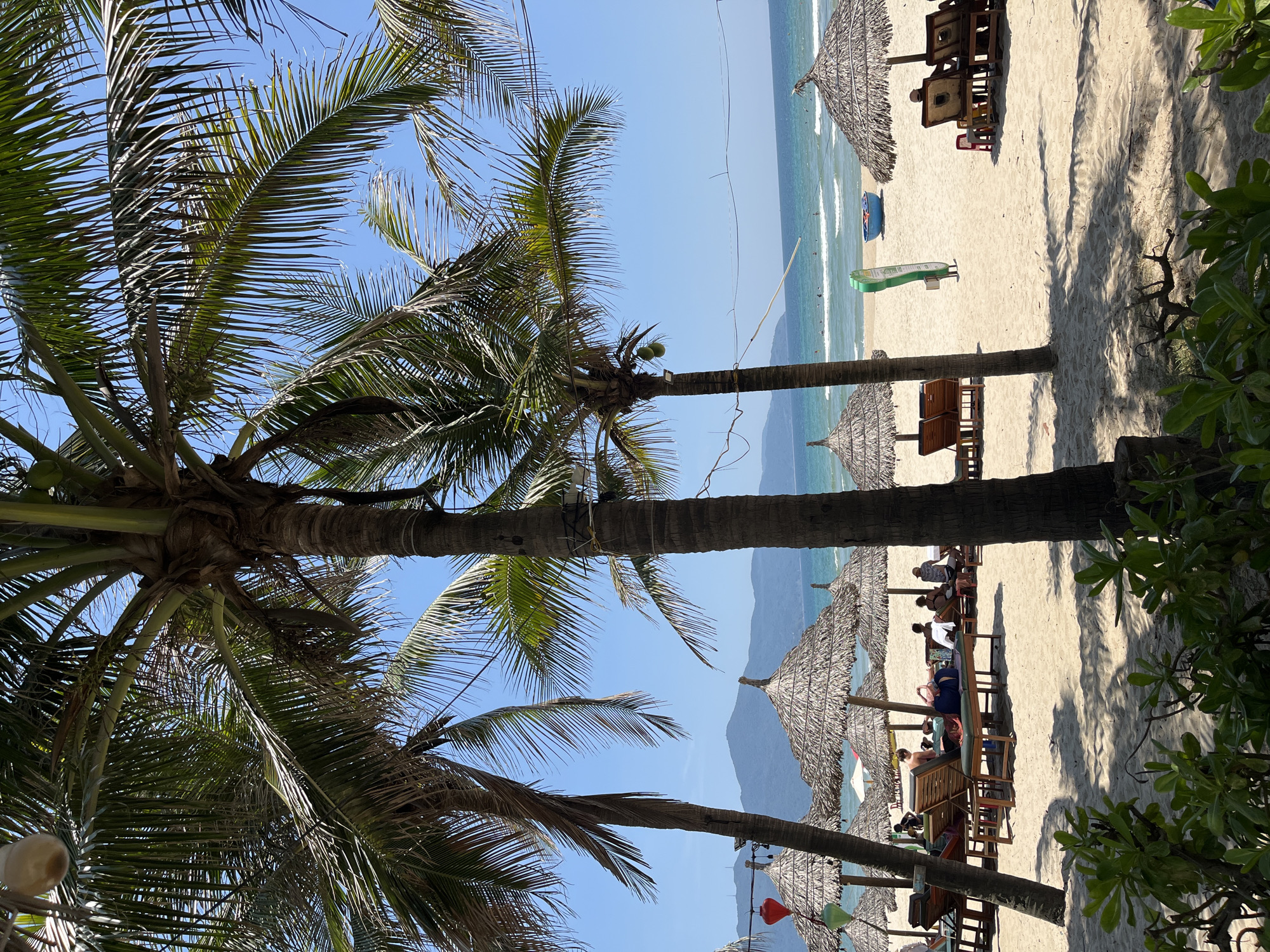 The scene is a beach in Đà Nẵng, Vietnam. The image is taken from the shade of palm trees looking out towards the ocean. Beach umbrellas and lounge chairs are scattered along the beach, with several people relaxing under the umbrellas. The sea is calm and blue. Mountains are visible in the background, in the distance.
