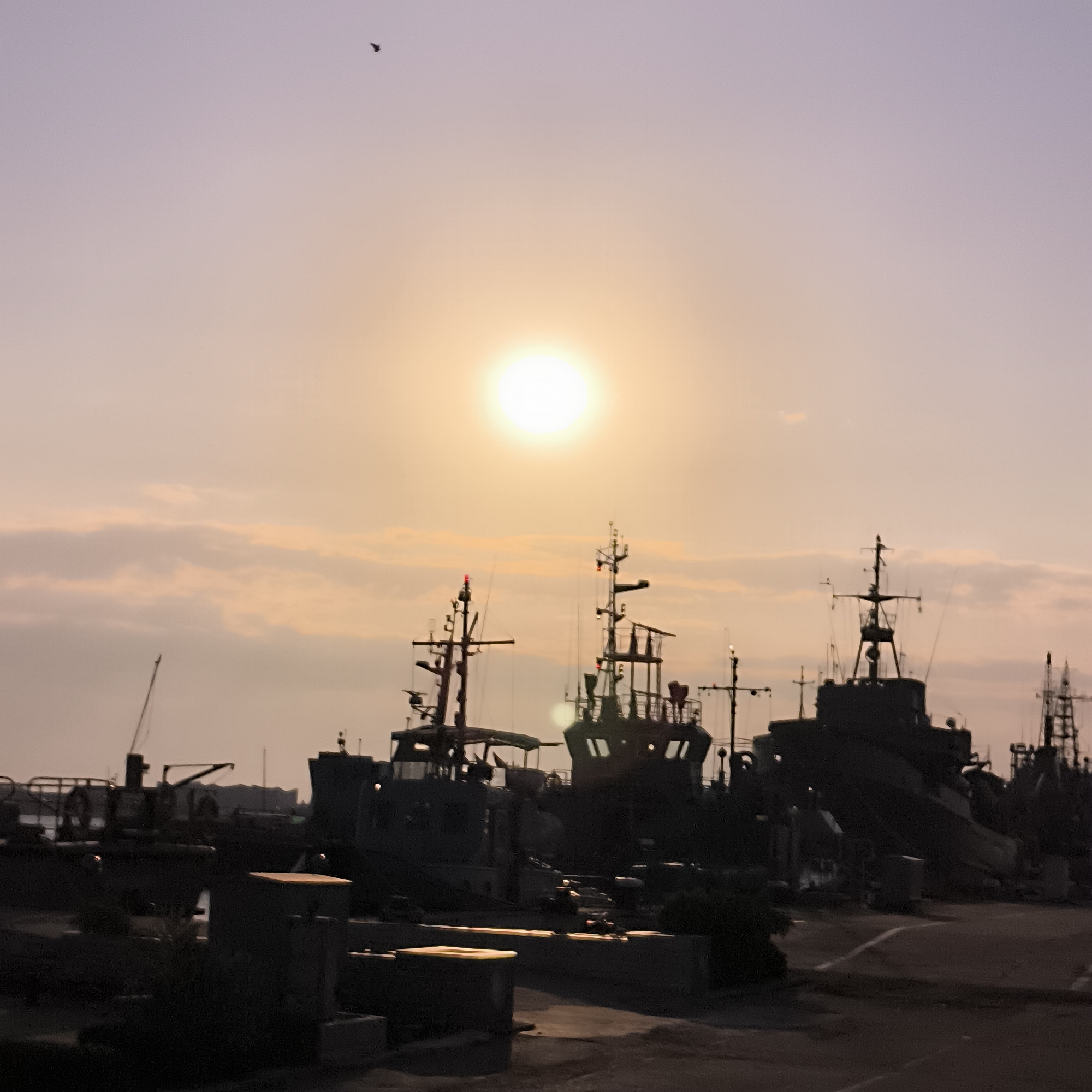 The image depicts a waterfront scene at dusk in Varna, Bulgaria. The setting sun casts a warm, golden glow across the sky, creating a soft, hazy atmosphere. Silhouetted against the twilight sky are several docked ships, likely naval vessels due to their structures and antennae. The ships are dark and imposing, their details obscured by the low light. In the foreground, there are docks and some industrial structures, including cranes and what appear to be concrete barriers or storage units. The water is not clearly visible. A lone bird is captured in flight high in the sky. The overall mood is serene and somewhat somber, characteristic of the end of a day.