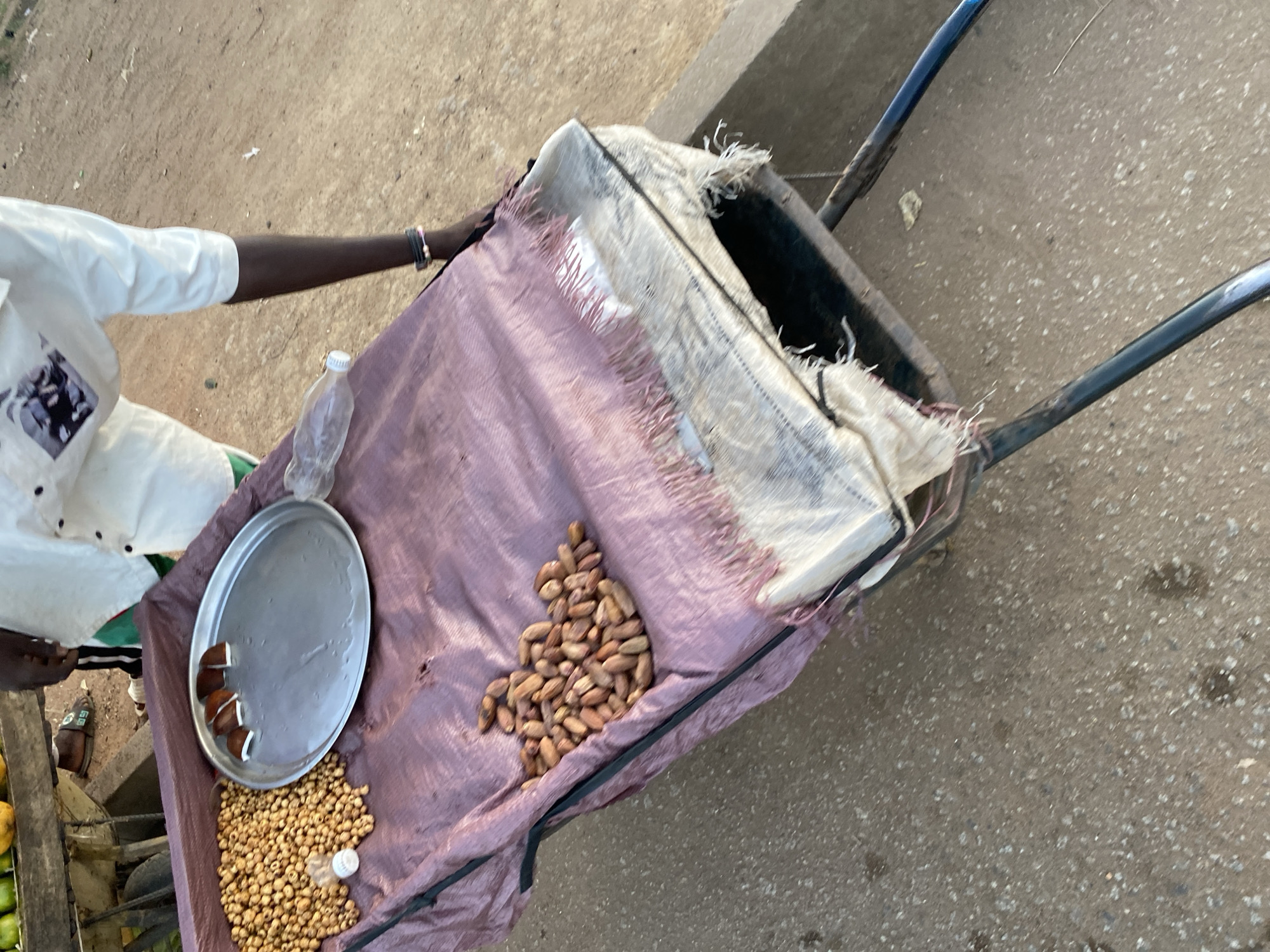 This overhead shot depicts a street vendor's simple setup, likely in Bukuru, Nigeria, during daylight hours. A person, whose dark-skinned arm and torso in a white long-sleeved garment are visible on the left, is positioned near a two-wheeled cart. The cart is covered with a worn purple and white woven sack-like material, which serves as a display surface for goods.
On this surface, a large, empty, round silver metal tray is prominent, holding several cut pieces of what appears to be coconut, showing their white flesh and brown shell. Adjacent to the tray, a scattered pile of small, round, light brown nuts or seeds, resembling groundnuts or peanuts, is displayed. A small, clear plastic water bottle lies partially submerged within these nuts. Further to the right, another distinct pile of larger, elongated, light brown nuts, possibly kola nuts, is arranged on the purple fabric.
The ground beneath the cart is a rough, dusty surface with small stones, typical of an unpaved or lightly paved area. The vendor wears a dark bracelet on their visible arm and sandals on their feet. The bright, natural light suggests fair weather. No discernible text is visible in the image.
