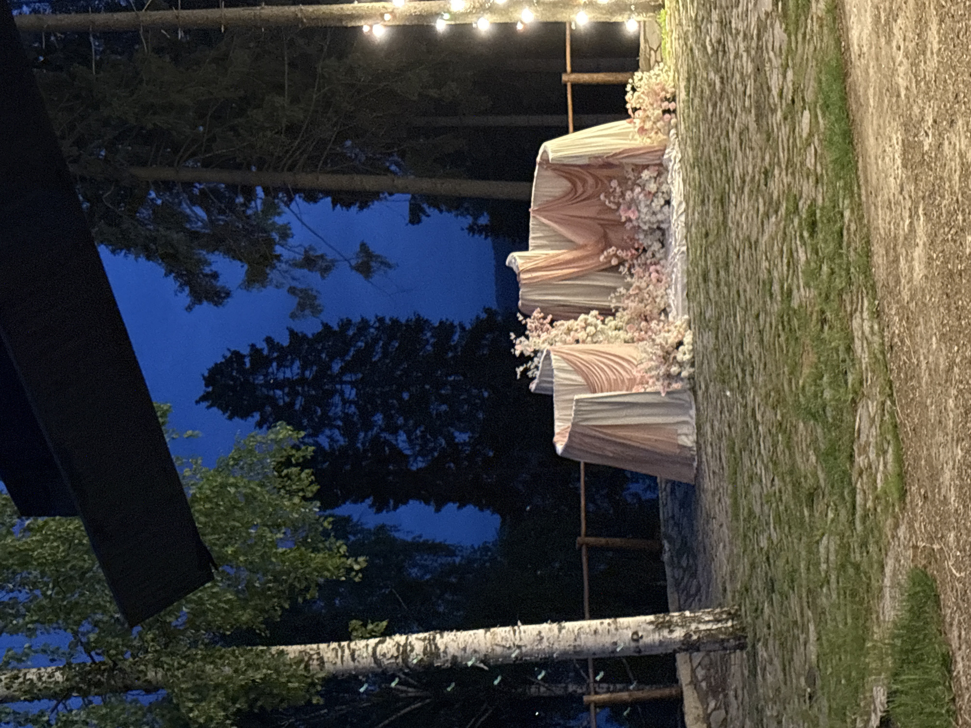 The image depicts an outdoor event setting at dusk or night, illuminated by artificial light, located in the city of Kanabekovo, Russia. The foreground consists of an uneven ground covered with sparse grass and a mosaic-patterned paved area, possibly cobblestone or flagstone, leading to a dirt path at the bottom.
On the left, a tall birch tree with light-colored, peeling bark and green foliage stands prominently. A dark, flat, rectangular structure, possibly an awning or overhang, is visible in the upper left quadrant. The central subject is a decorative event structure, likely an arch or backdrop, fashioned from multiple curved panels draped with cream-colored and light pink fabric. The base of this structure is densely adorned with floral arrangements in shades of pink, white, and cream.
Behind the decorative feature, a rustic fence constructed from horizontal wooden logs or branches stretches across the midground. The background reveals a dense forest of tall, dark evergreen trees, silhouetted against a deep indigo sky. On the far right, another tree trunk is partially visible, wrapped with a vertical string of warm-toned lights. No individuals are present in the scene.