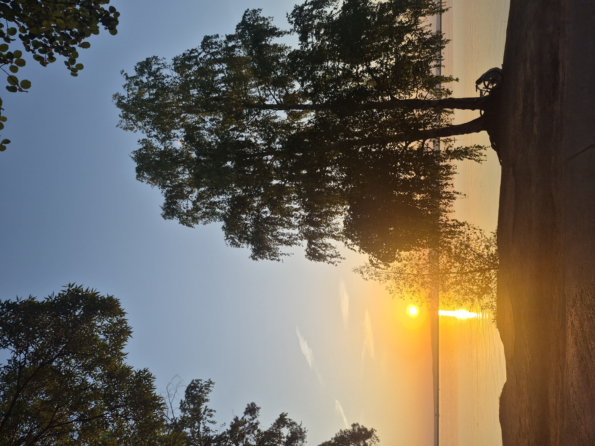 The image shows a landscape with a body of water, possibly a lake or a bay, reflecting the sunlight from a setting sun. The sky transitions from blue to shades of orange and yellow as the sun nears the horizon. Several trees are visible, silhouetted against the sky. A bicycle is leaning against a tree. The foreground appears to be a path or embankment leading to the water's edge. The image is rotated 90 degrees counterclockwise, making the horizon appear vertical. The location is identified as Unknown, Unknown.
