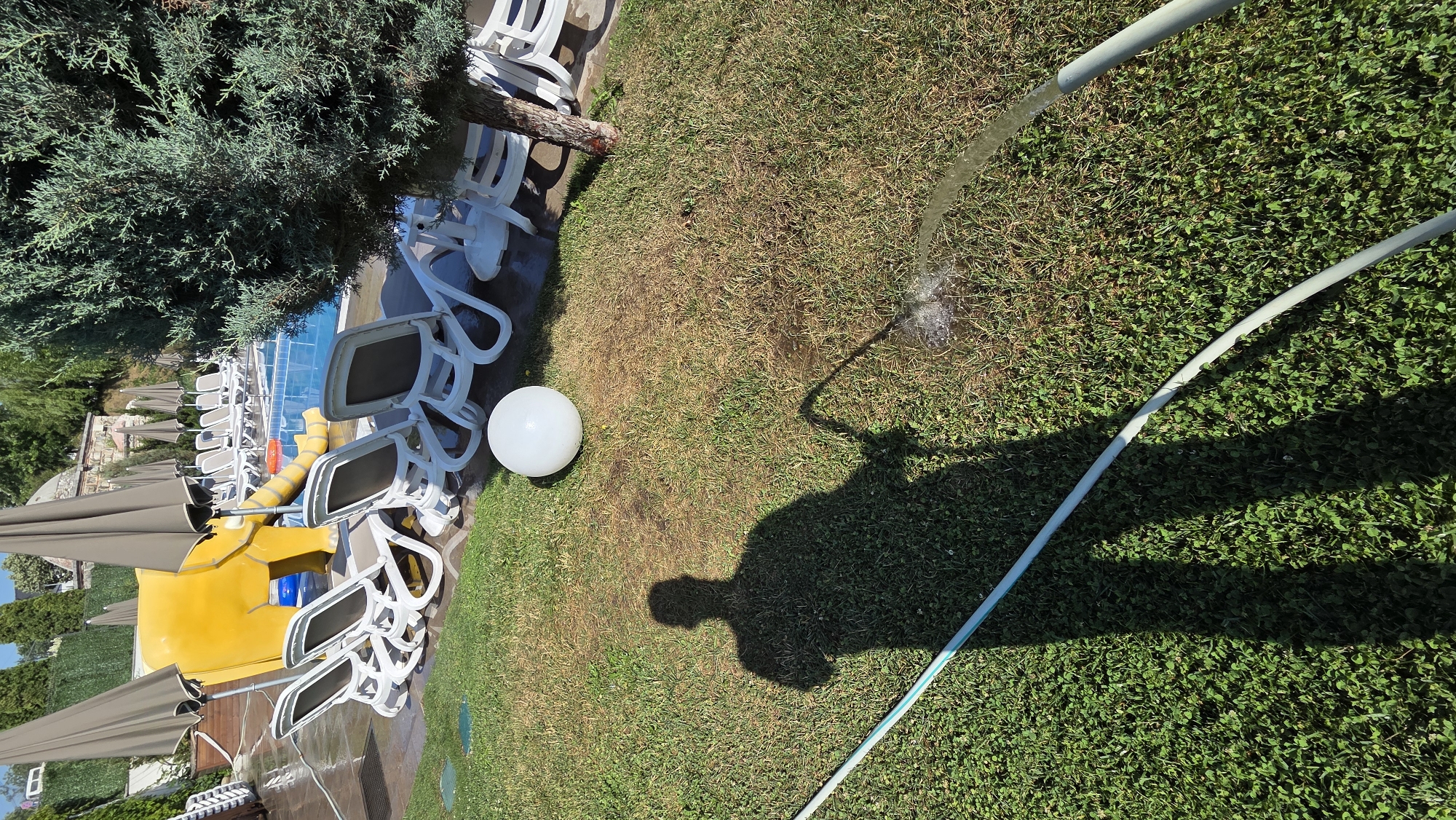 The image depicts a sunny outdoor scene at a resort or pool area in Bania, Bulgaria. In the foreground, a shadow of a person is cast on the grass, holding a hose that is spraying water. The grass appears somewhat dry and patchy in some areas. A white, spherical object is placed on the grass near the shadow.
Further back, a swimming pool is visible, with blue water. Surrounding the pool are several white lounge chairs. Behind the lounge chairs, a large, bright yellow slide shaped like an elephant is prominently featured. The slide has an orange ring at the bottom of its chute. Several large, beige umbrellas are positioned around the pool area.
To the right of the pool and lounge chairs, a large green coniferous tree stands. The background shows more greenery and some buildings, suggesting the resort is set within a natural landscape. The overall impression is one of a recreational area on a clear, sunny day.