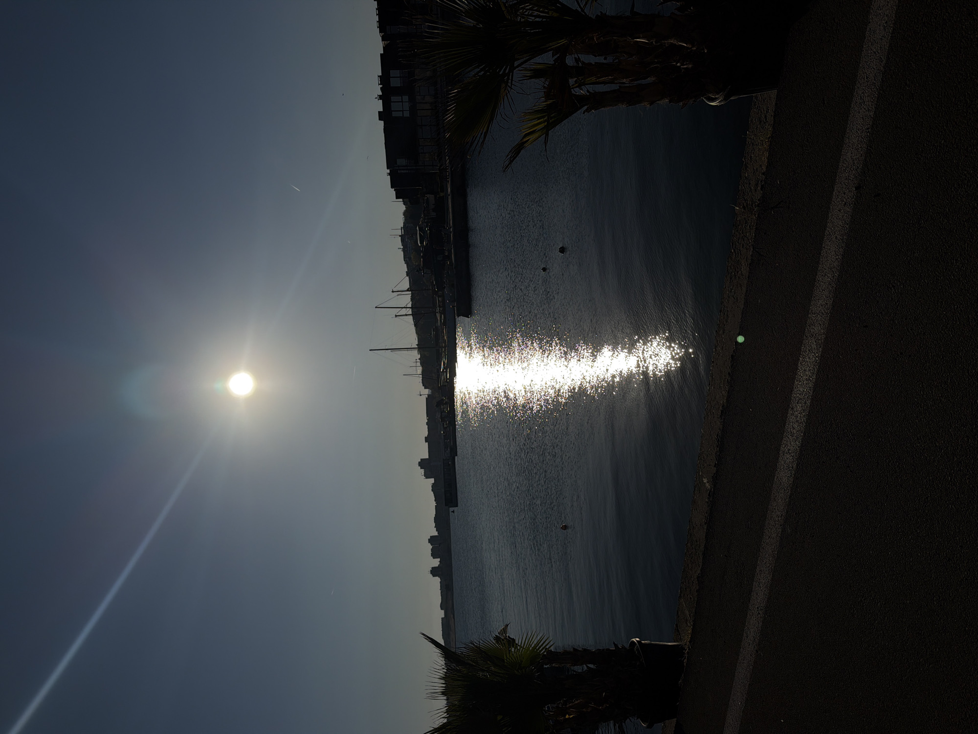 The photograph depicts a waterfront scene, likely captured in the city of Nessebar, Bulgaria, characterized by a bright sun positioned high in the sky. The sun's reflection glints off the surface of the water, creating a shimmering path. Buildings line the distant shore, suggesting a dense urban area along the waterfront. Palm trees are seen in the foreground. The edge of what appears to be a concrete wall or sidewalk is present in the bottom right corner. The sky appears clear with light shining through. The image is rotated 90 degrees, placing the sky on the left side of the frame. There is no evidence of people, interactions, or specific actions in the scene.