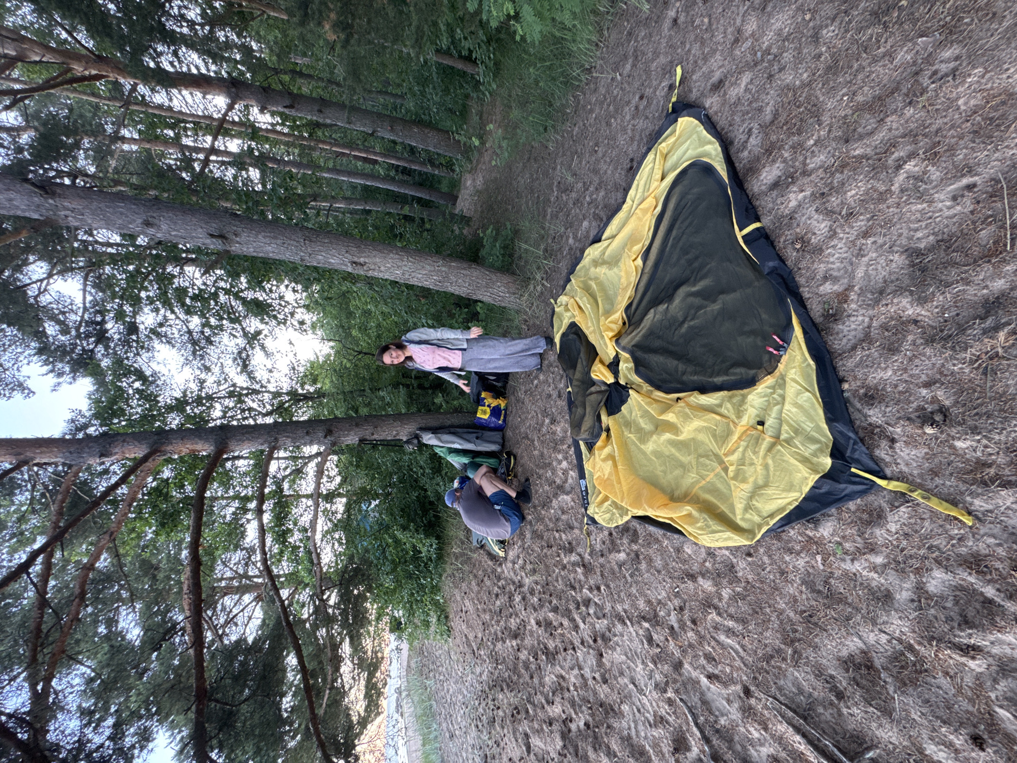 In Zelenaya Roshcha, Russia, a yellow and black tent lies partially set up on sandy ground with scattered pine needles. A man wearing a blue cap and shorts is crouched near a pile of camping gear, including bags and sleeping mats, next to a tree. A woman stands nearby, wearing a light pink shirt, grey jacket, and grey pants, looking towards the camera with her hands open. The scene is set within a pine forest with a path leading deeper into the trees. In the background, a body of water and a sandy beach are visible.