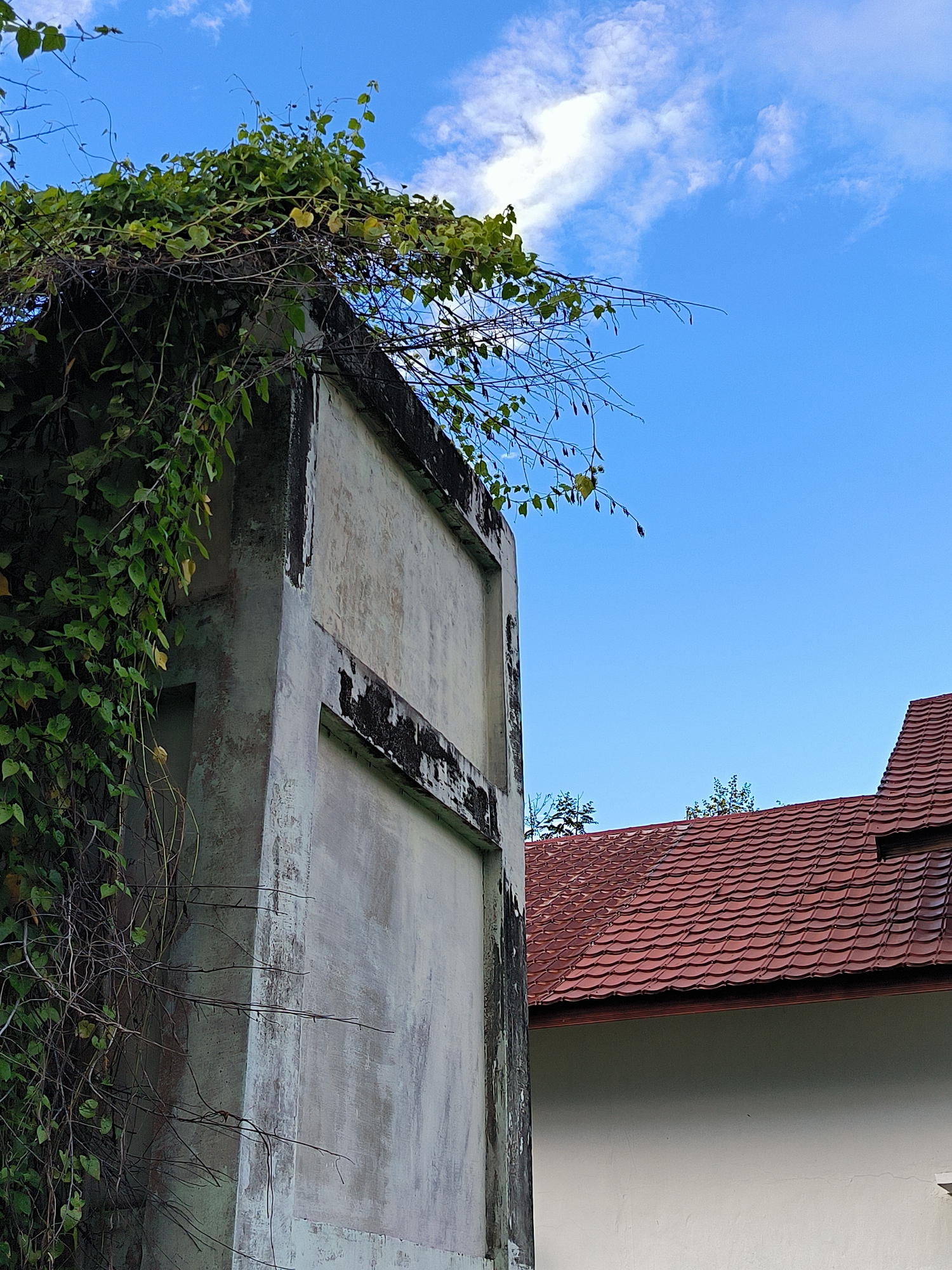 An eye-level shot reveals an overgrown, aging structure in Lhokseumawe, Indonesia, set against a bright blue sky with scattered clouds. The structure, possibly a building or wall, is weathered with visible mold or stains along its edges. Vines and other vegetation cover its left side and top. To the right and behind the structure, a building with a red tiled roof is partially visible. The composition focuses on the aging structure and the surrounding environment.