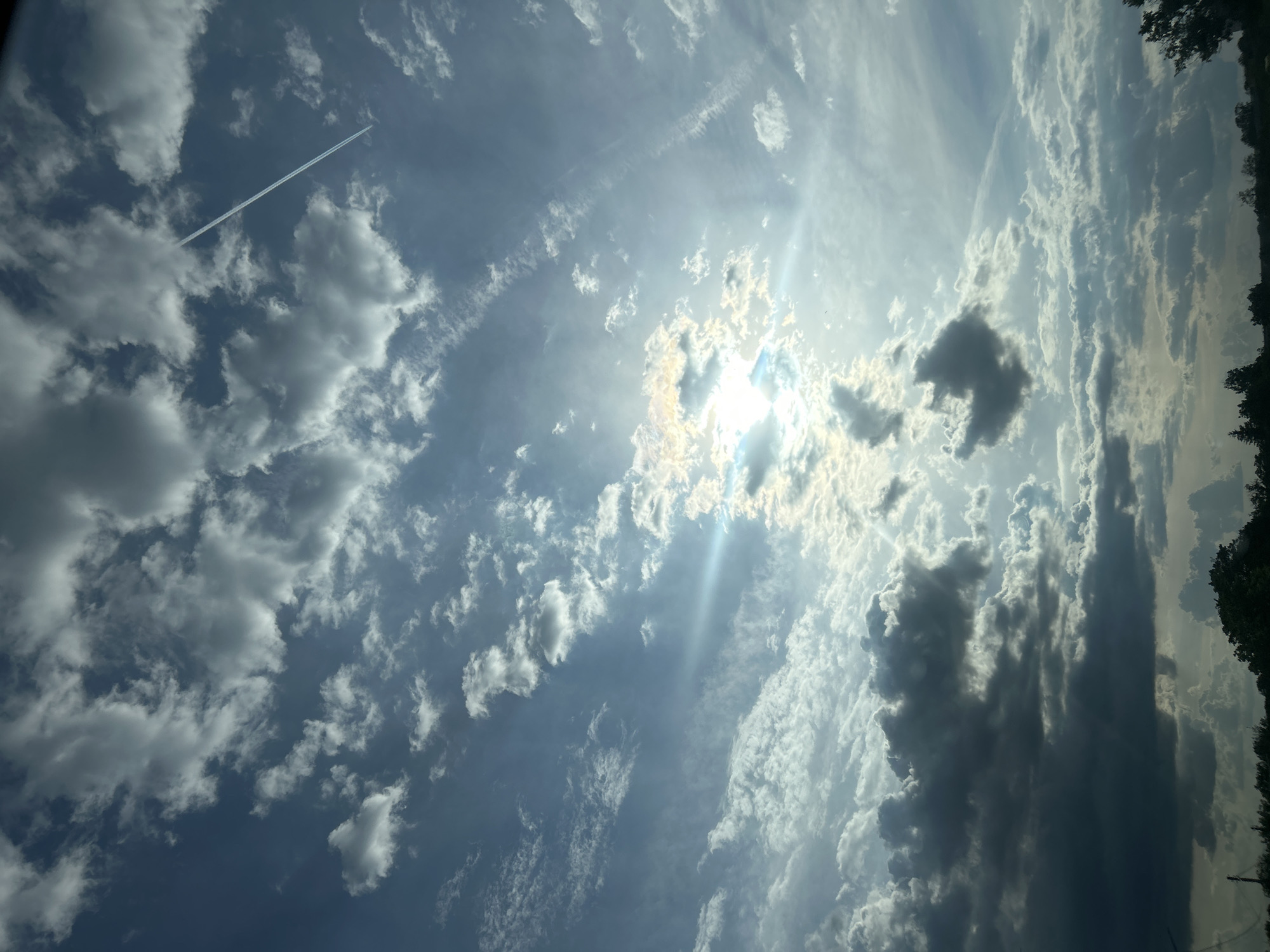 The image shows a daytime sky with scattered clouds and bright sunlight. A contrail from an airplane is visible in the upper left. Trees are visible on the right edge of the image. The location is not specified.
