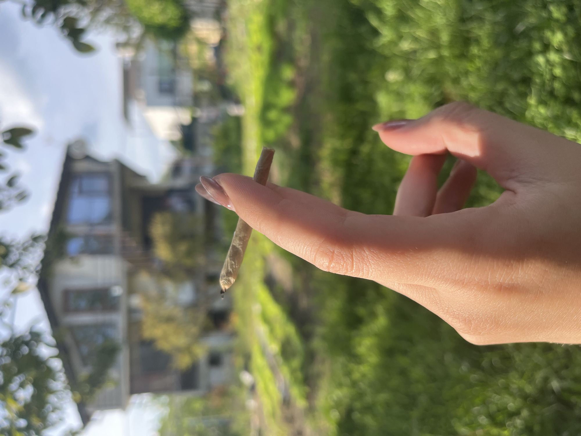 A hand holds a lit, rolled cigarette outdoors. The person has manicured nails with a neutral polish. The background is blurry, but suggests a grassy area with trees and a building. This location cannot be identified as Varna, Bulgaria from this image.
