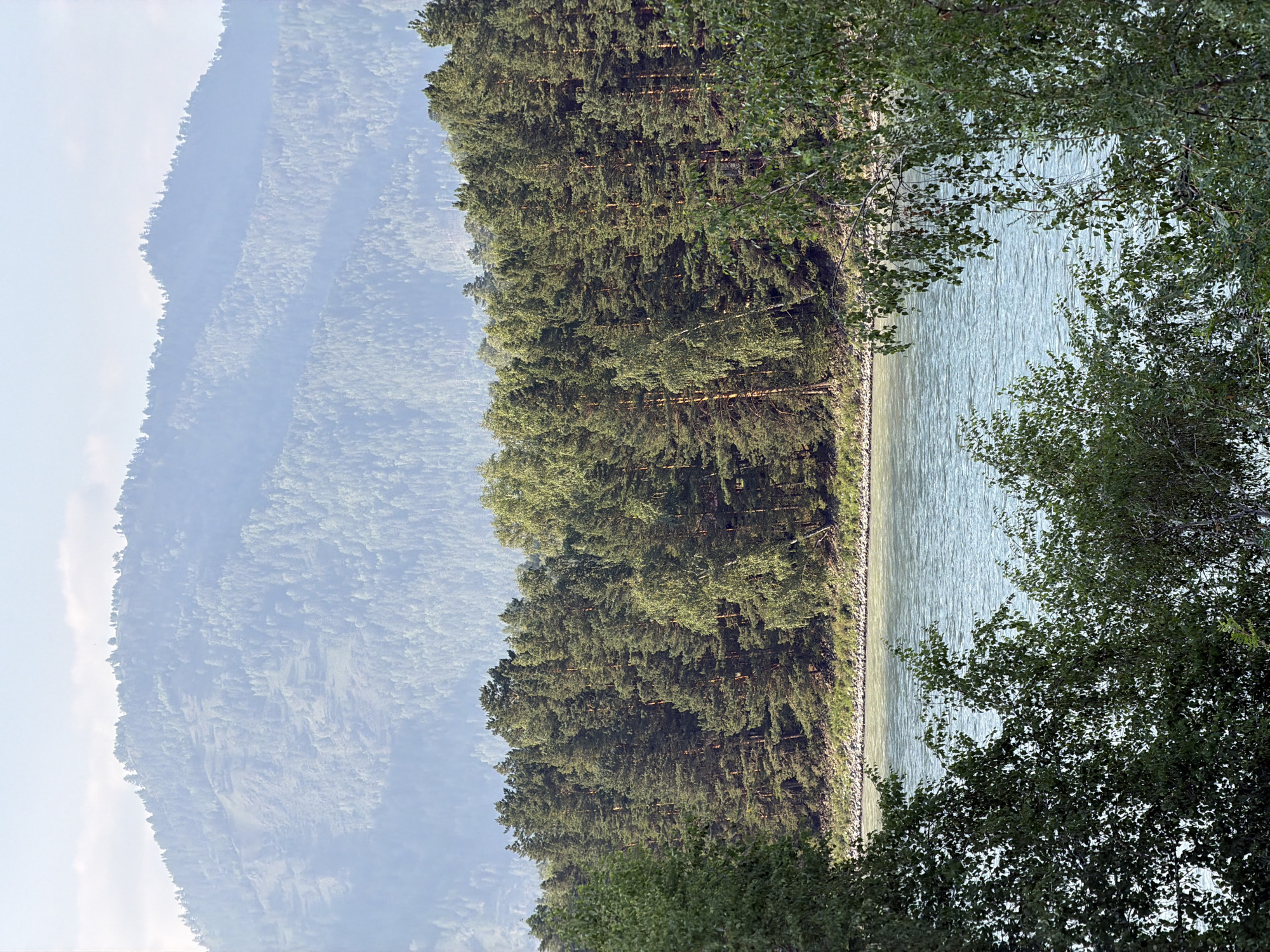 The image shows a panoramic view of a wide, turquoise river flowing through a valley in Anos, Russia. On the far bank of the river, a dense coniferous forest stretches along the base of a hazy, forested mountain range. The mountains, covered in evergreen trees, fade into a pale blue sky, suggesting a significant distance. In the foreground, the river is bordered by a rocky shore, and the immediate foreground is dominated by the lush green foliage of trees and bushes, some of which hang over the water, framing the view of the river and the opposite bank. The light suggests it is daytime, likely morning or late afternoon, with soft, diffused sunlight. There are no people or man-made structures visible in the scene.