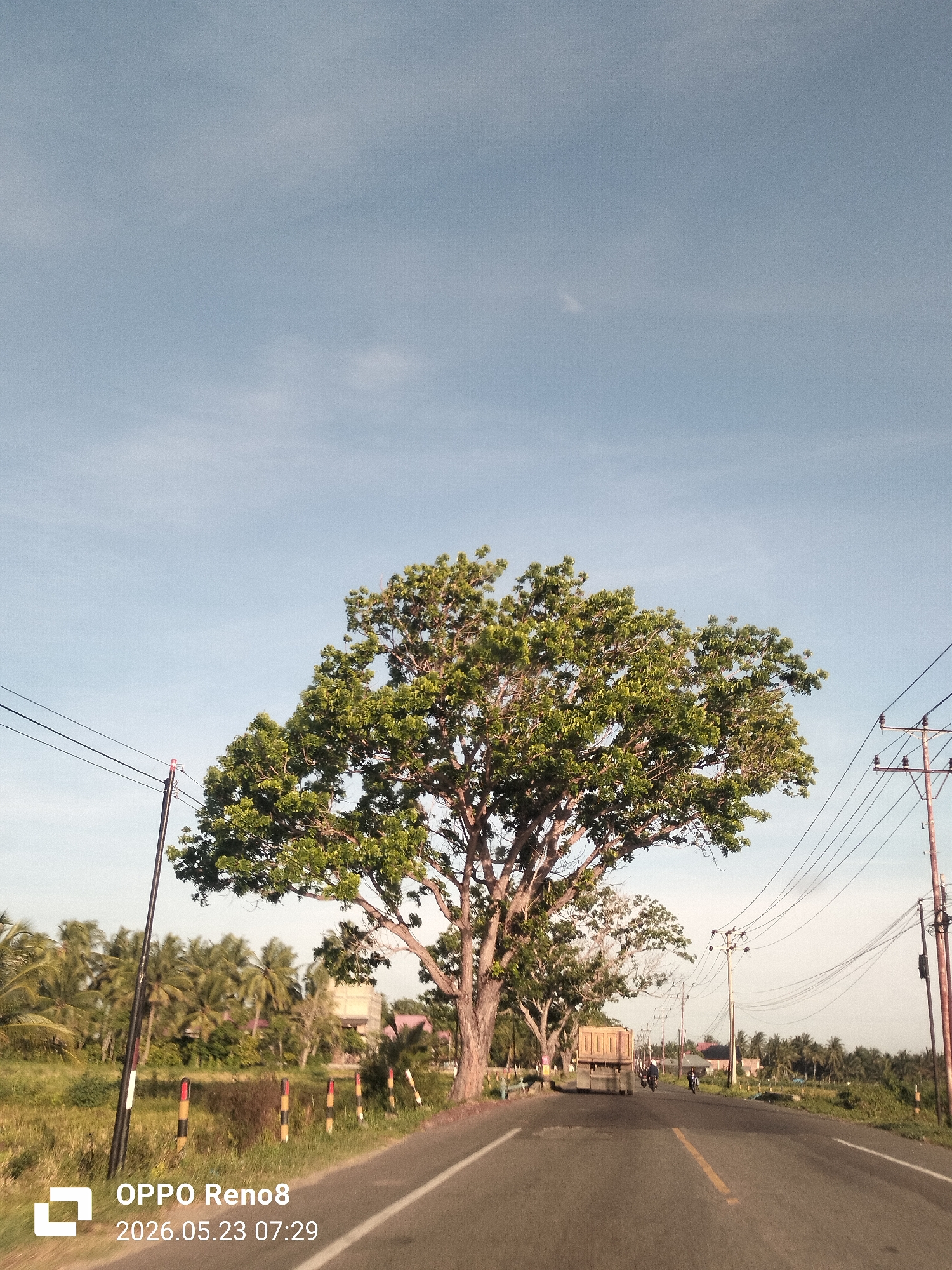 The image presents a view of a road in Meunasahpulo, Indonesia. A large tree dominates the center of the frame, its canopy full and green. The road stretches into the distance, with a truck and two motorcycles visible. Utility poles line the side of the road, and vegetation, including palm trees, is visible in the background. The sky is light blue with a few clouds. The image was captured on an OPPO Reno8 device on May 23, 2026, at 07:29.