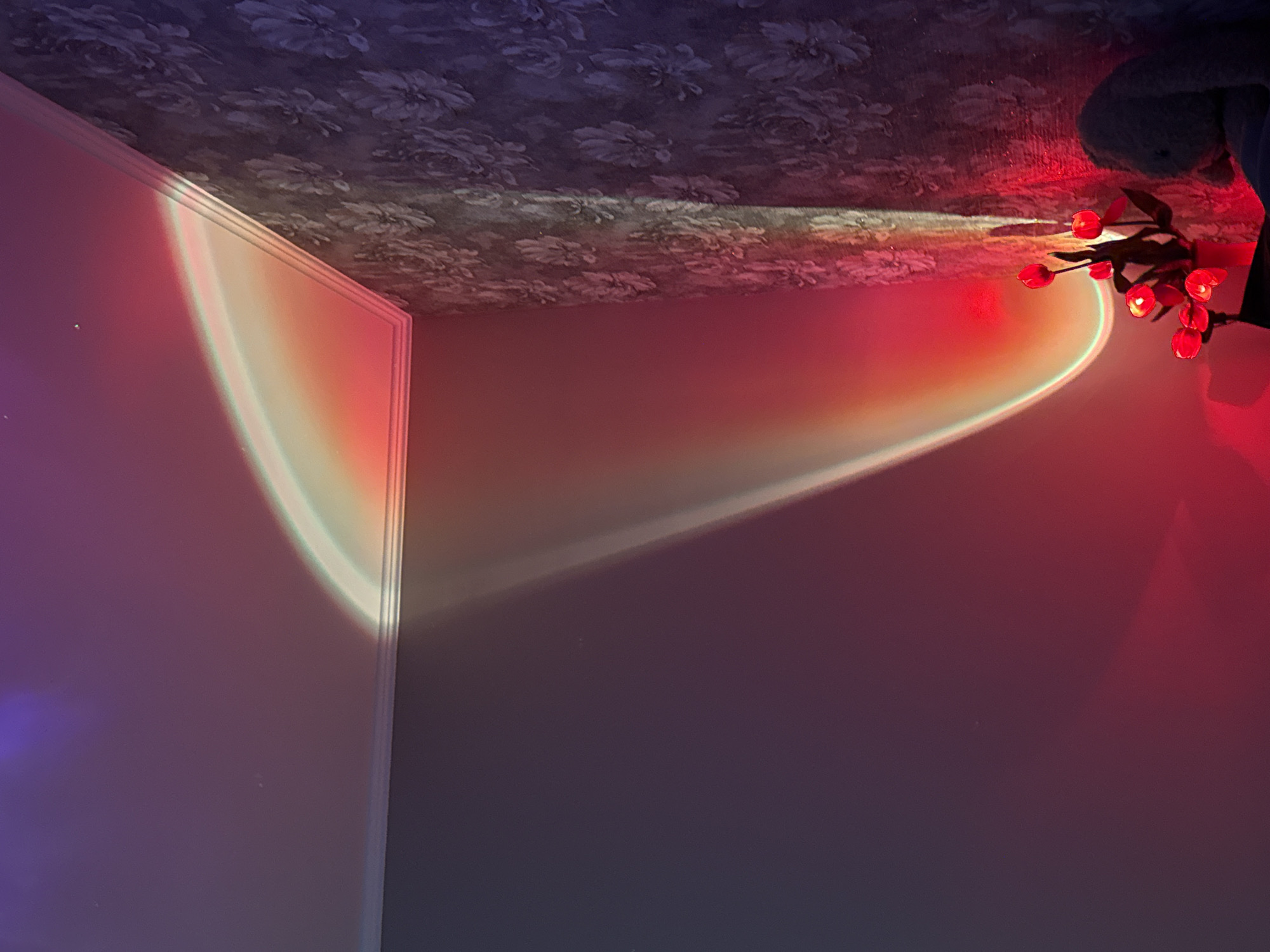 The image depicts a corner of a room illuminated by a sunset lamp, casting a gradient of red, orange, and white light onto the walls and ceiling. The left wall is a plain, dark color, while the right wall is covered in a dark floral wallpaper. In the foreground, on the right side of the image, a small vase holds several red tulip-shaped lights. To the right of the vase, a portion of a light-colored stuffed animal is visible. The ceiling is also illuminated by the lamp, with a band of colorful light extending across it and down the walls. The overall impression is one of ambient lighting creating a warm and decorative atmosphere.