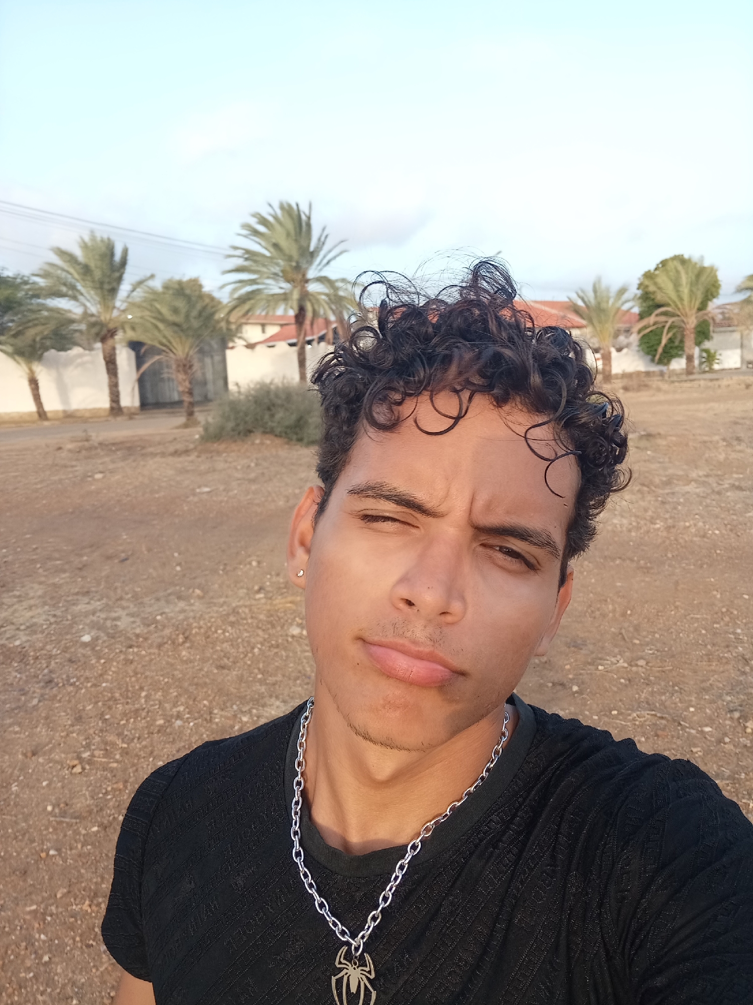 A young man with dark, curly hair and light brown skin is captured in a close-up selfie, winking with his right eye and sporting a slight pout. He is wearing a black, short-sleeved t-shirt with a subtle textured pattern and a silver chain necklace adorned with a prominent Spider-Man pendant. A small stud earring is visible in his left ear. His expression is playful and somewhat mischievous.
The setting is outdoors, under a bright, light blue sky with faint clouds, suggesting either early morning or late afternoon due to the soft, warm lighting. The ground beneath him is a dry, light brown expanse of gravel and dirt. In the background, several palm trees with tall trunks and distinctive fronds are visible, interspersed with low green shrubs. Behind these, a white wall and the reddish-orange tiled roofs of distant buildings can be seen, hinting at a warm, possibly arid environment. This landscape is consistent with the provided location context of Juan Griego, Venezuela. No discernible text is visible in the image.