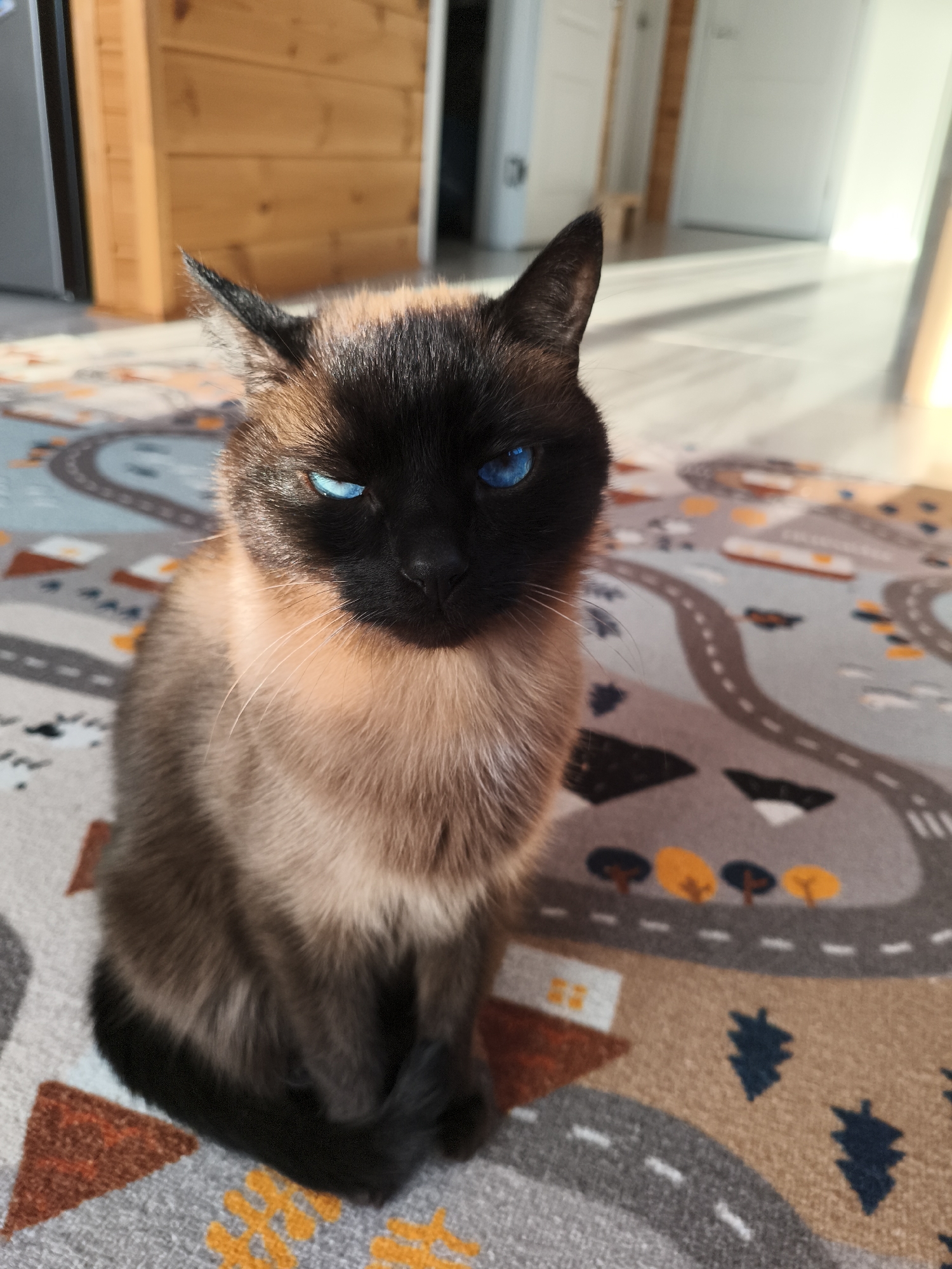 A Siamese cat sits on a rug featuring a road pattern. The cat is facing forward, with blue eyes and dark brown fur on its face, ears, and legs. The rug has a gray road design with various shapes and colors representing trees and houses. The background includes a wooden wall, a refrigerator, and a doorway leading to another room. The location cannot be identified as Русский Вожой, Russia, based on the visual information provided.
