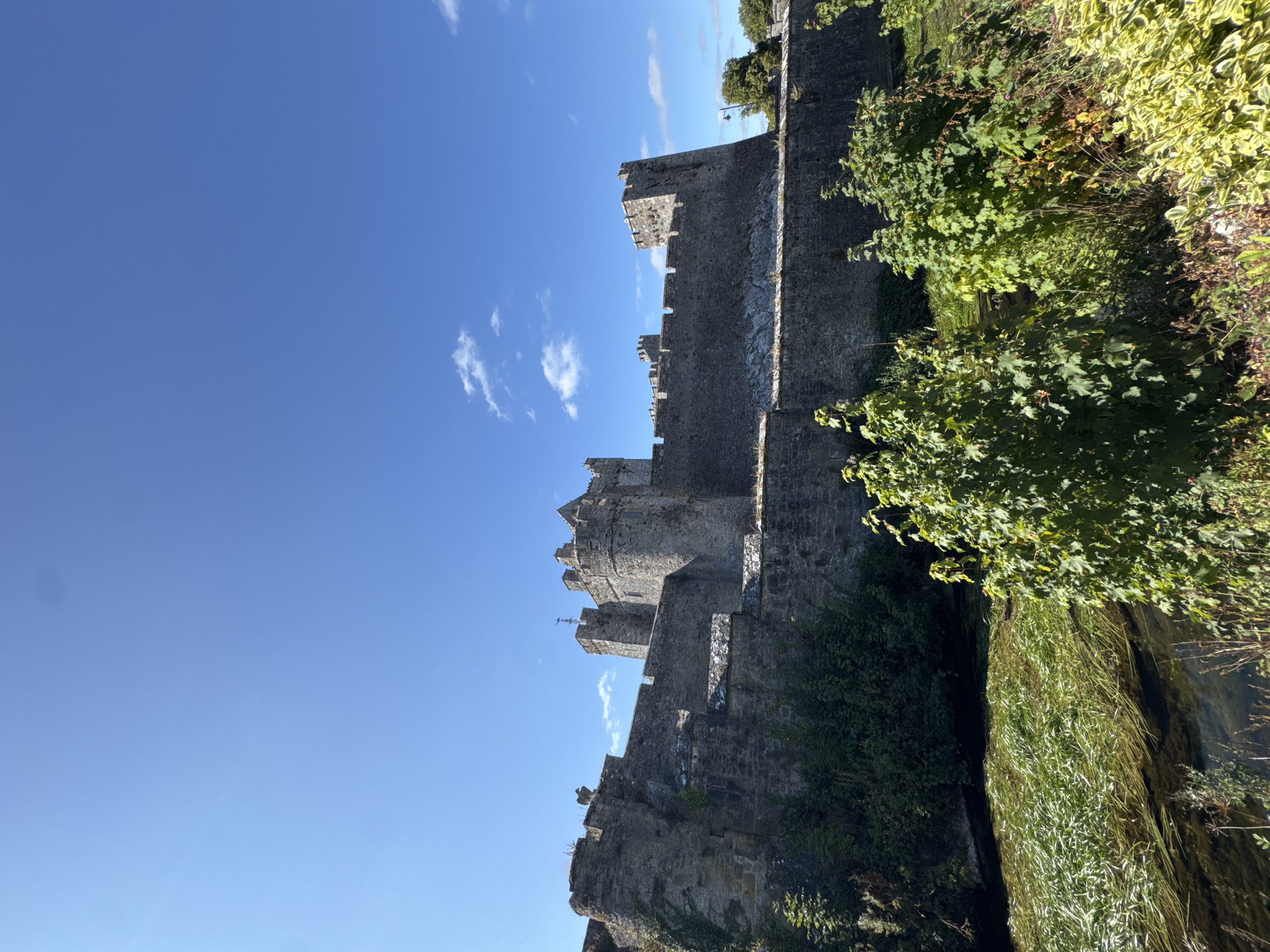 The image depicts a view of Cahir Castle, a large, well-preserved medieval castle located in the town of Cahir, County Tipperary, Ireland. The castle, constructed primarily of stone, features imposing walls with battlements and several towers. It is situated beside a body of water, possibly the River Suir, which is covered in dense, green aquatic vegetation. Lush foliage and trees are visible in the foreground and along the base of the castle walls, indicating a natural setting. The sky above is a clear, bright blue with a few scattered white clouds. The scene is bathed in sunlight, suggesting a daytime setting. There are no people visible in the image.