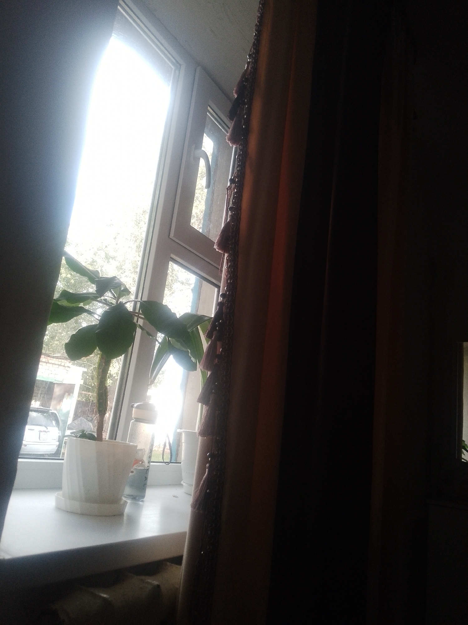 A potted plant sits on a windowsill in front of a window. The window is open, and sunlight streams in, creating a bright glare. To the right of the window, a curtain with tassels hangs down. Outside the window, trees and a building can be seen. A car is parked in front of the building. The windowsill appears to be made of white material.