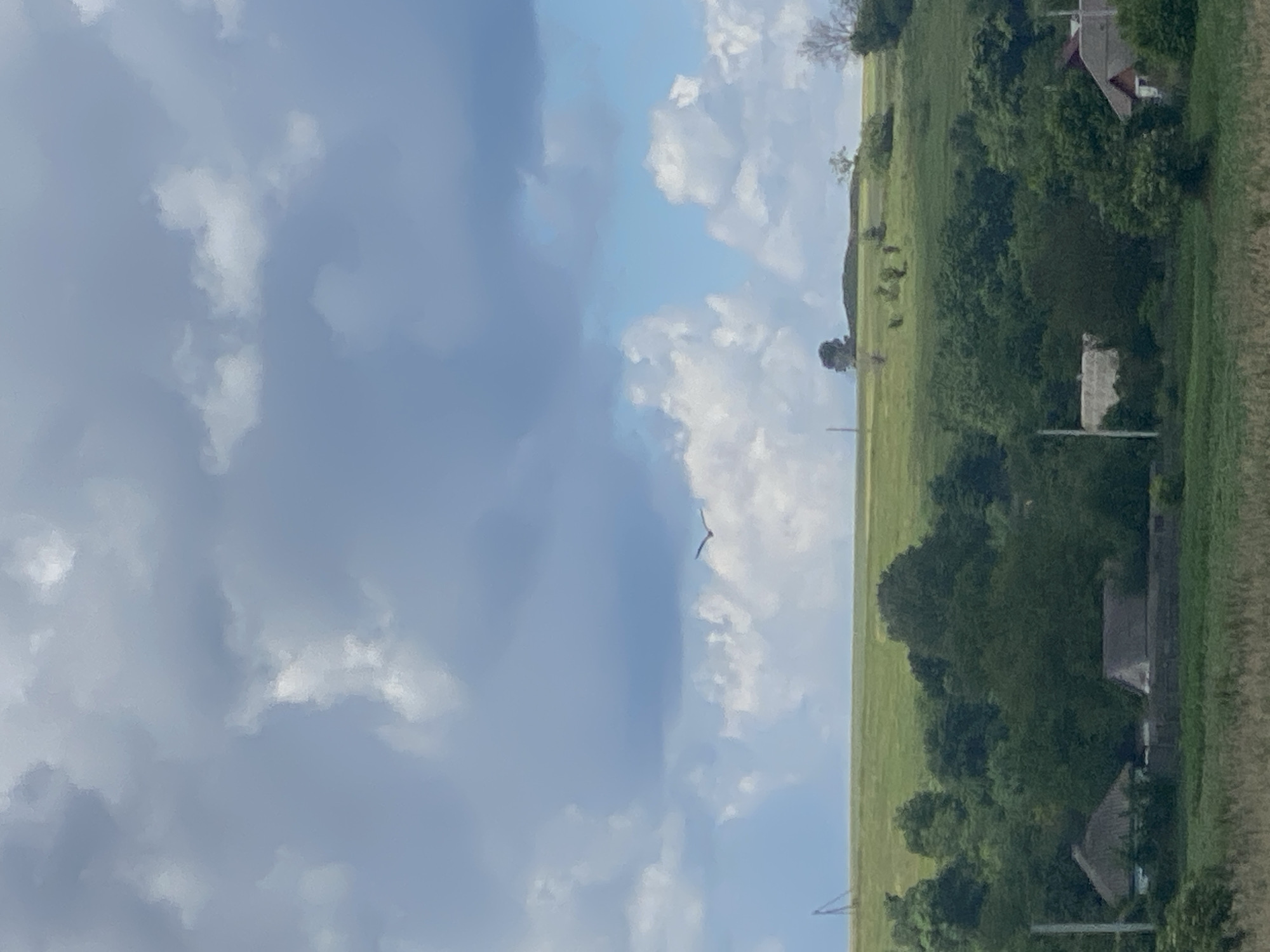 A scenic view of a rural landscape in Ustyvytsia, Ukraine, under a cloudy sky. The foreground features a field of dry grass, followed by a dense line of dark green trees. Behind the trees, several houses with traditional thatched and tiled roofs are visible, some partially obscured by foliage. A gray fence runs horizontally in front of the houses. The middle ground consists of a gently sloping green hill dotted with scattered trees and bushes. In the distance, a single bird with outstretched wings is captured mid-flight against the light blue sky, which is filled with large, soft white and gray clouds. A rustic wooden pole or antenna stands on the far left of the hill.