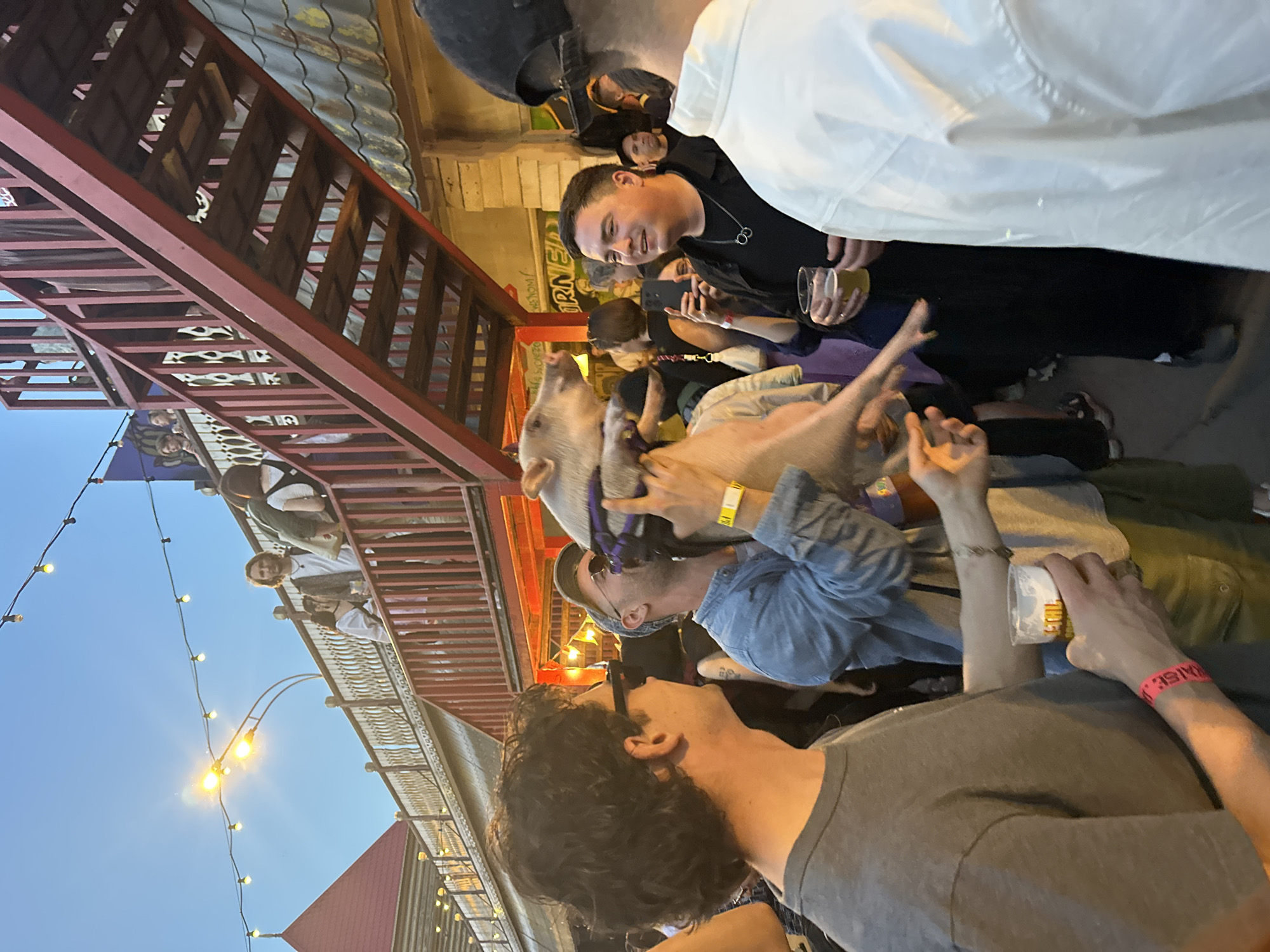 This detailed description outlines a vibrant outdoor evening gathering in Moscow, Russia. The scene unfolds beneath strings of decorative lights and a bright street lamp, illuminating a multi-level structure characterized by reddish-brown wooden balconies, intricate railings, and a prominent external metal staircase. A red-capped roof is visible in the upper left background, and a section of a tiled roof appears near the staircase.
In the center, a man wearing a denim shirt, sunglasses, a cap, and a yellow wristband is holding a small, light-colored pig with a purple harness close to his face, its snout pointed upwards. To his immediate right, a man in a black shirt, adorned with a ring necklace, smiles broadly while observing the pig interaction. He holds a glass of beer in one hand and a mobile phone in the other. To the left, the back of another man wearing a grey t-shirt, sunglasses, and a pink wristband is visible, also holding a beer glass and facing towards the central activity.
The area is populated by numerous other individuals, both on the ground level and on the upper balcony. People on the balcony, including a long-haired man and two women, are seen observing the scene below or socializing. The overall ambiance is lively and social, with many attendees holding drinks and engaged in watching the unique interaction with the pig.