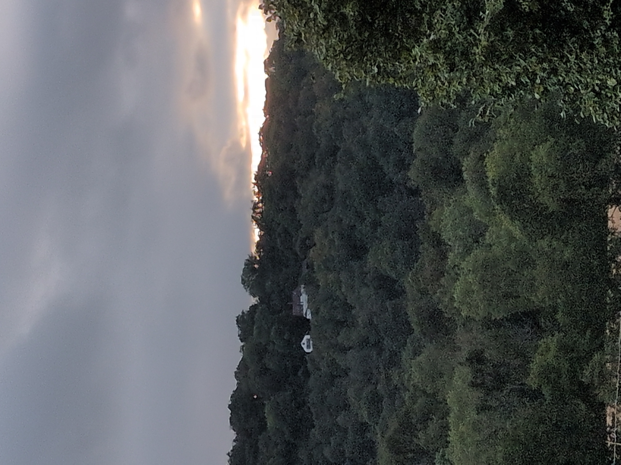 A wide shot captures a densely forested hillside under a cloudy sky with the sun breaking through on the right. Two houses are visible nestled among the trees near the crest of the hill. The house on the left is white and appears to have a steep roof. The house on the right is larger and also white, with a visible chimney. The trees are predominantly deciduous and a deep green, with some lighter green foliage visible in the foreground on the right. The overall impression is of a rural or semi-rural landscape.