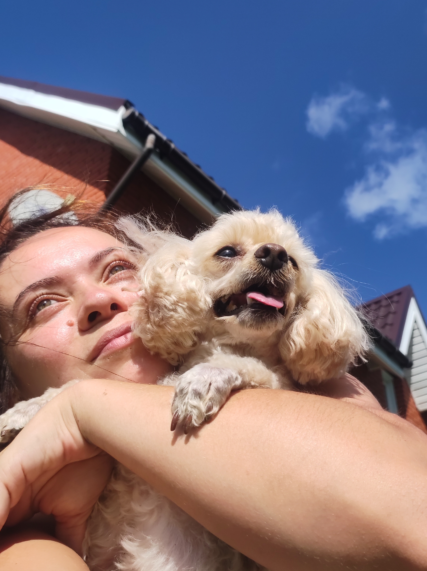 A young woman is holding a light-colored dog outdoors, with a clear blue sky and the tops of two residential buildings visible in the background. The woman's face is turned upwards, and the dog is close to her face. The image is taken from a low angle, looking up towards the sky.