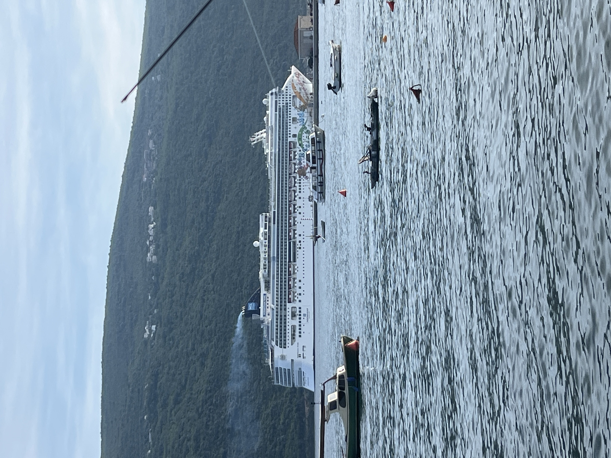 This image presents a serene coastal scene in Đenovići, Montenegro, featuring a large cruise ship set against a backdrop of a lush, forested mountain. The viewpoint is from the water, looking towards the land.
The central subject is a massive cruise ship, identified as the Norwegian Epic by its distinctive, vibrant hull art depicting colorful, stylized marine life and patterns. The multi-decked, white vessel appears to be either docked or anchored, with a visible plume of exhaust smoke emanating from its funnels, suggesting it is either maneuvering, arriving, or departing.
In the immediate foreground on the right, a small green and white utility boat or fishing vessel is partially visible, floating on the slightly rippled water. Further in the mid-ground, a dark, narrow boat, possibly a kayak or a traditional rowboat, carries what appear to be two individuals. Several red and orange buoys are scattered across the water, indicating marked areas or potential moorings.
The background is dominated by a towering, verdant mountain or hillside, densely covered in green trees. Scattered white buildings are nestled among the foliage on the slopes. The sky above is clear and bright, suggesting a sunny day. The calm, dark blue-grey water reflects the light, creating a textured surface.
The scene captures a clear daytime moment, likely morning or afternoon, with excellent visibility. The overall impression is one of tranquil natural beauty coexisting with active maritime operations in this picturesque Montenegrin bay.