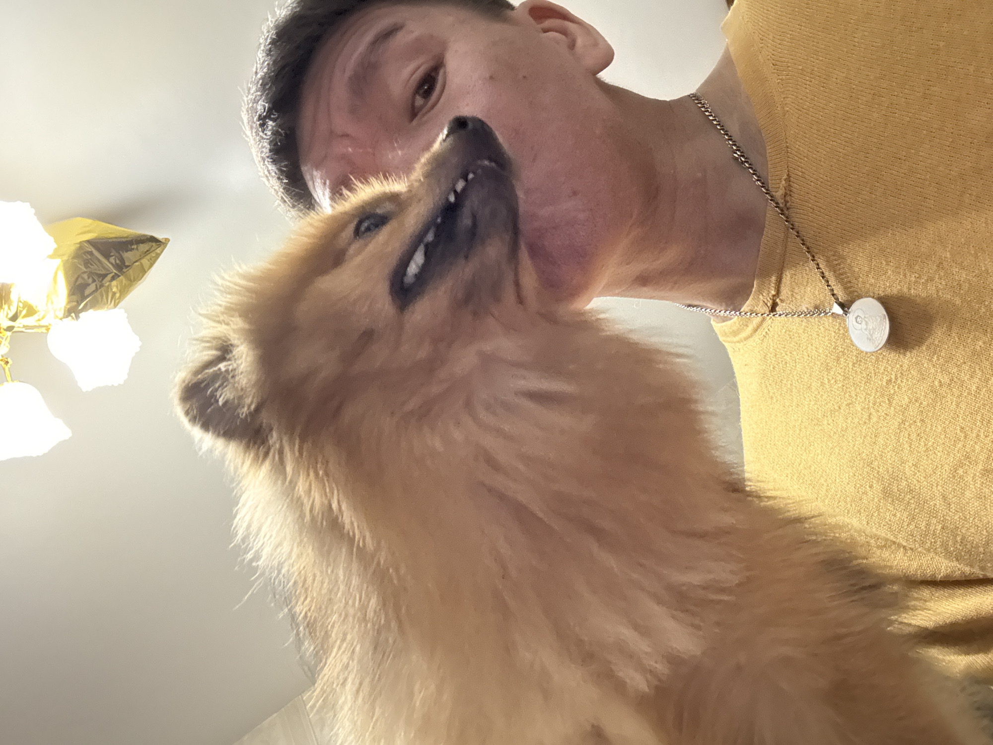 A close-up selfie captures a person and a Pomeranian dog. The person, facing the camera, has short dark hair and is wearing a yellow t-shirt and a silver chain with a circular pendant. The dog, with its fur appearing fluffy and light brown, is positioned close to the person's face, with its mouth slightly open, revealing its teeth. The background is a plain, light-colored wall, with a hint of a decorative item hanging from the ceiling. The lighting suggests an indoor setting. There is no information in the image to suggest it is located in Khimki, Russia.