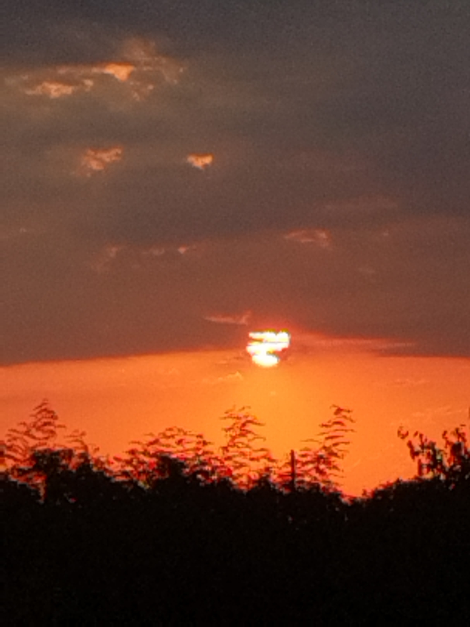 A silhouette of trees is visible against a vibrant orange and grey sunset. The sun, partially obscured by clouds, emits a bright, glowing light. The scene appears to be in a natural setting, possibly a park or the outskirts of a city, with the trees suggesting a rural or suburban environment. No specific landmarks or indications of Bucharest, Romania, are identifiable in the image.