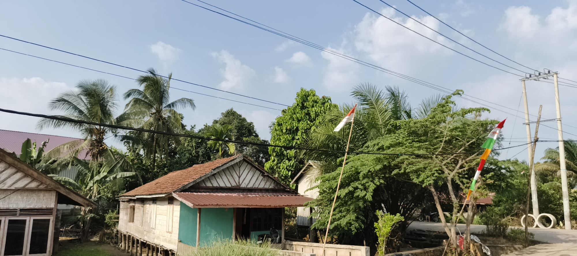 The image depicts a street scene in Muaro Jambi, Indonesia, on a bright, sunny day with a clear blue sky dotted with white clouds. The environment is characterized by lush green vegetation, including several palm trees and other tropical foliage, suggesting a tropical climate.
In the foreground, there are two stilt houses. The house on the left is partially visible and appears to be constructed with light-colored wood, featuring large windows with dark frames. The house on the right is more prominent, also built on stilts with wooden walls and a terracotta-tiled roof. A small, green-covered porch is attached to the front of this house.
A tall bamboo pole with a flag is planted in the ground near the right-hand house. The flag appears to be red and white, possibly representing the Indonesian flag, and below it are colorful horizontal bands of green, yellow, red, and white. This arrangement might signify a festive or national occasion.
Behind the houses and vegetation, utility poles with multiple overhead wires are visible, indicating the presence of electricity and communication infrastructure. A concrete pipe or culvert structure is also present on the right side of the road. A motorbike is parked in front of the right-hand house. The overall impression is one of a rural or semi-rural residential area in Indonesia.