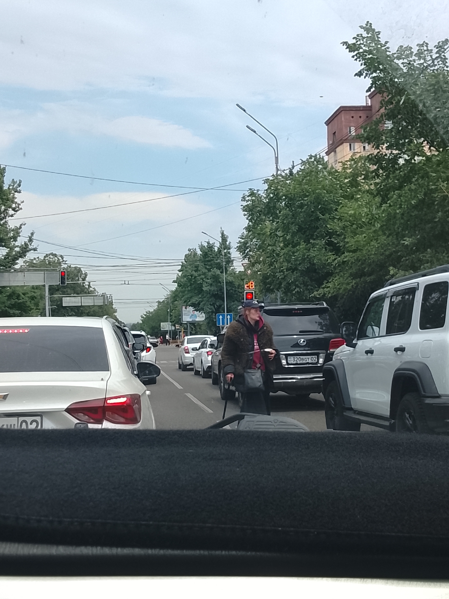 The image captures a street scene in Almaty, Kazakhstan, likely during daylight hours as indicated by the overcast sky. A traffic jam is evident, with numerous cars lined up on a multi-lane road. In the foreground, the hood of a car is visible, suggesting the photo was taken from within a vehicle.
The central focus is a person in the middle of the road, standing between lanes of traffic. This individual appears to be wearing a dark, furry coat over a red garment and a blue baseball cap. They are holding a dark bag in their left hand and what seems to be a cane or walking stick in their right. The person is looking towards the right side of the frame, and their facial expression is not clearly discernible but they appear to be in the process of walking or waiting.
Behind the person, a black Lexus SUV is stopped, displaying a license plate with Cyrillic characters and the number "320BGT 02". To the right of the Lexus, a white SUV is also visible. Traffic lights are present in the scene, with one showing a red light, contributing to the traffic congestion. Trees line the sides of the road, and buildings can be seen in the background, one of which is a multi-story structure with red and beige facades. Overhead, power lines crisscross the sky. The overall atmosphere is one of urban traffic and pedestrian movement.