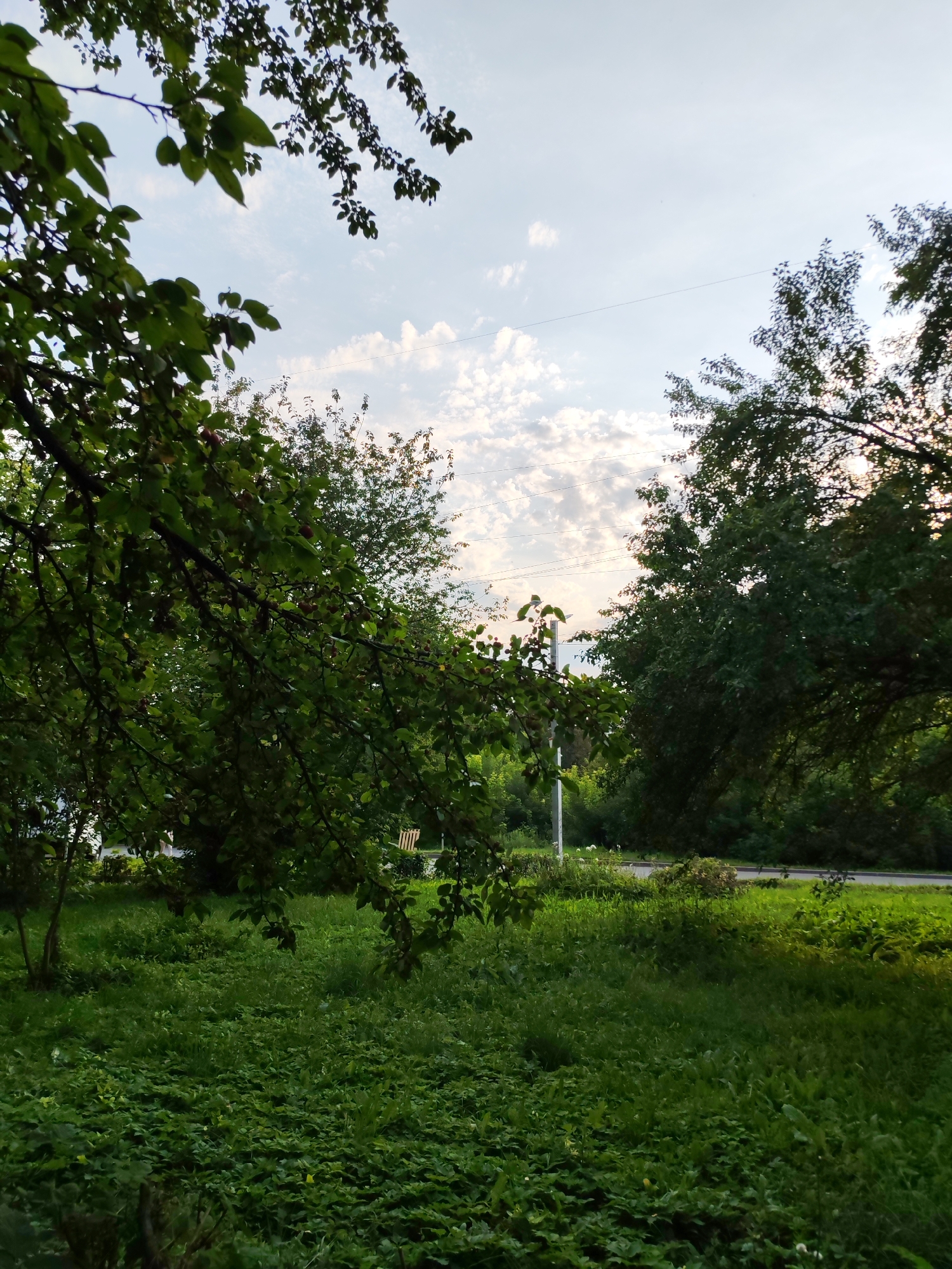 The image depicts a view of a green, grassy area with trees and a sky with clouds. A road is visible in the background. There are no people or animals visible in the frame. The scene is likely an outdoor public space, possibly a park or a residential area with landscaping. Based on the information available, it is not possible to definitively identify the specific location within Izhevsk, Russia.