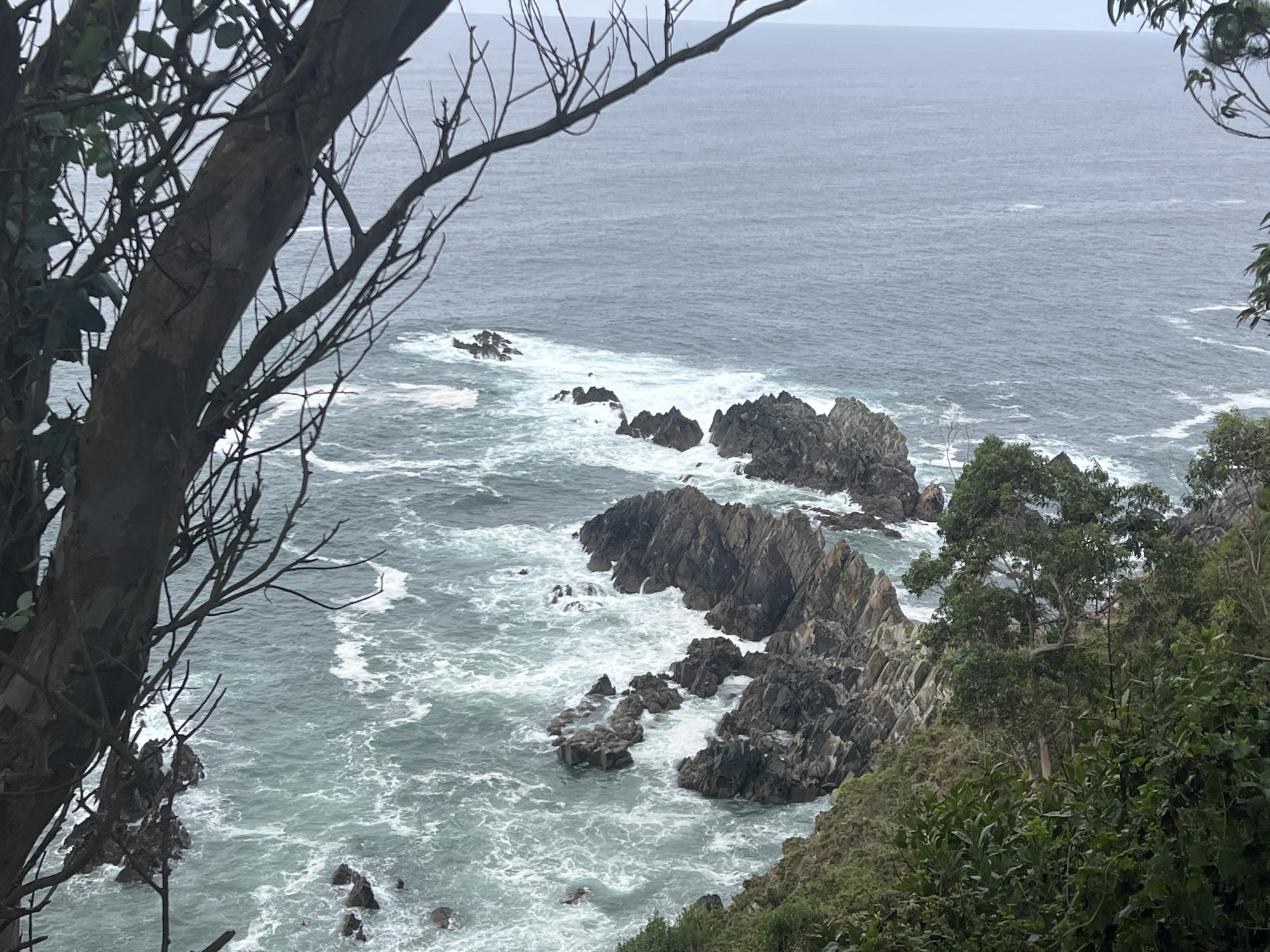 This image depicts a rugged coastline with rocky outcrops and crashing waves. The ocean is a choppy, greyish-blue, with white foam churning around the dark, jagged rocks. Lush green vegetation, including trees and bushes, grows on the cliffside, partially obscuring the view of the sea. In the foreground, the branches of a tree with sparse leaves frame the scene. The sky is overcast and a muted grey, suggesting a cloudy day. The overall impression is one of wild, untamed nature. This scene is characteristic of the natural beauty found along the coast of Cudillero, Spain, a region known for its dramatic cliffs and the powerful Atlantic Ocean.