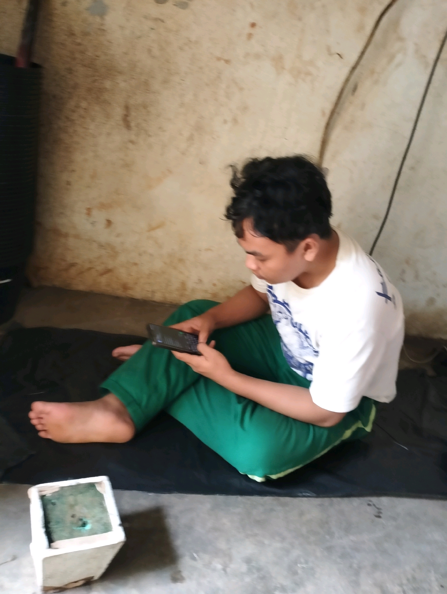Memory