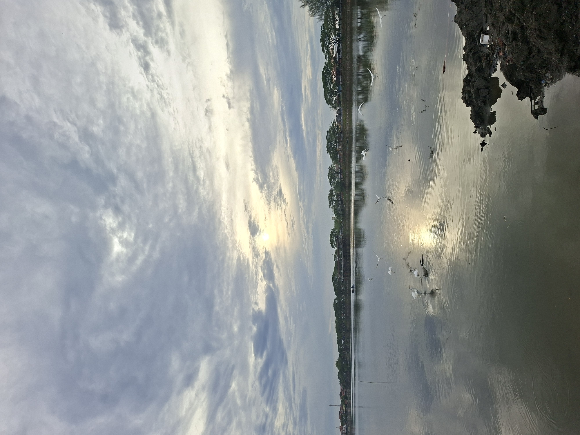 The image depicts a serene lake scene in Lhokseumawe, Indonesia, likely near the Ujong Blang area, characterized by a tranquil body of water reflecting a cloudy sky. Several white egrets are scattered across the water, some wading and others in flight, their graceful forms contrasting with the muted tones of the environment. The water's surface is disturbed by ripples, suggesting a gentle breeze. In the distance, a line of trees forms a natural border along the opposite bank, behind which buildings and a lighthouse are visible, indicating proximity to a populated area. The sun is partially obscured by clouds, casting a soft, diffused light that highlights the subtle variations in the sky and water. The foreground features a rough, dark embankment, possibly mud or earth, with some scattered debris, contrasting with the calm water. This natural setting, with the presence of wildlife and hints of urban infrastructure, offers a peaceful yet grounded view of Lhokseumawe.