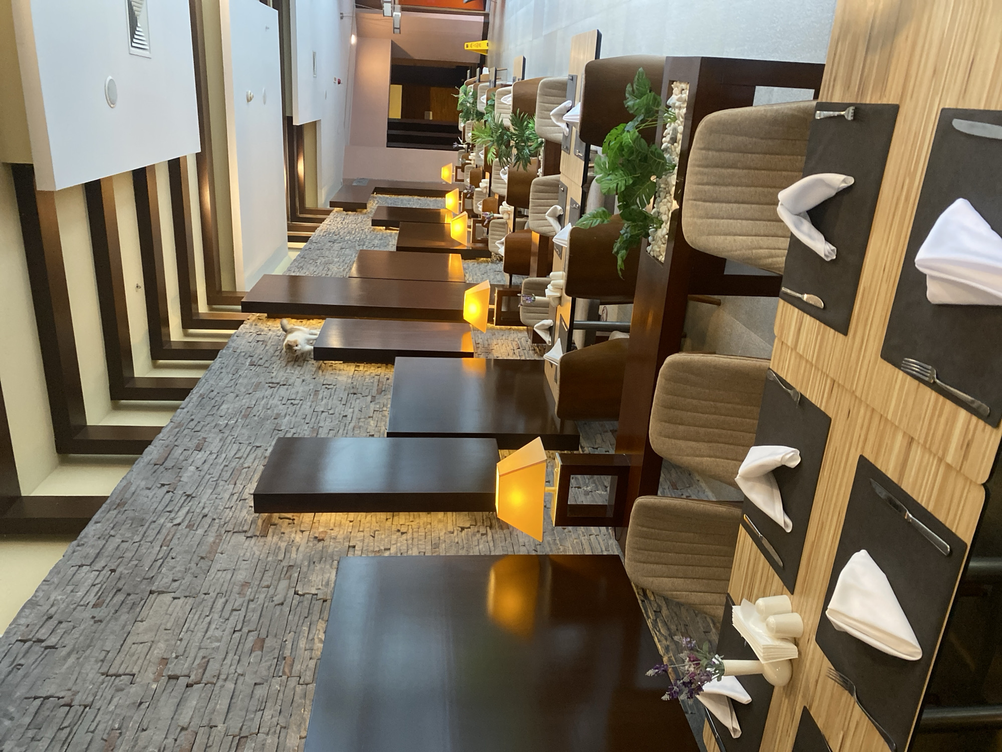 The image depicts the interior of a restaurant, likely located in Aksu, Turkey, based on the provided context. The dining area features multiple tables set for guests, each adorned with white folded napkins, cutlery, and placemats. Some tables are also set with salt and pepper shakers and a small vase with a lavender sprig. Warm yellow lamps with square shades are strategically placed along the walls, casting a soft glow on the tables and the textured stone wall. The seating consists of upholstered chairs in a neutral brown tone. The architecture of the restaurant is modern, with a distinctive ceiling design featuring wooden beams and recessed lighting. In the background, more tables and chairs are visible, extending into the dining space, along with decorative potted plants. A small, light-colored cat is perched on a dark brown pillar near the ceiling. The overall atmosphere suggests a well-appointed and inviting dining establishment.