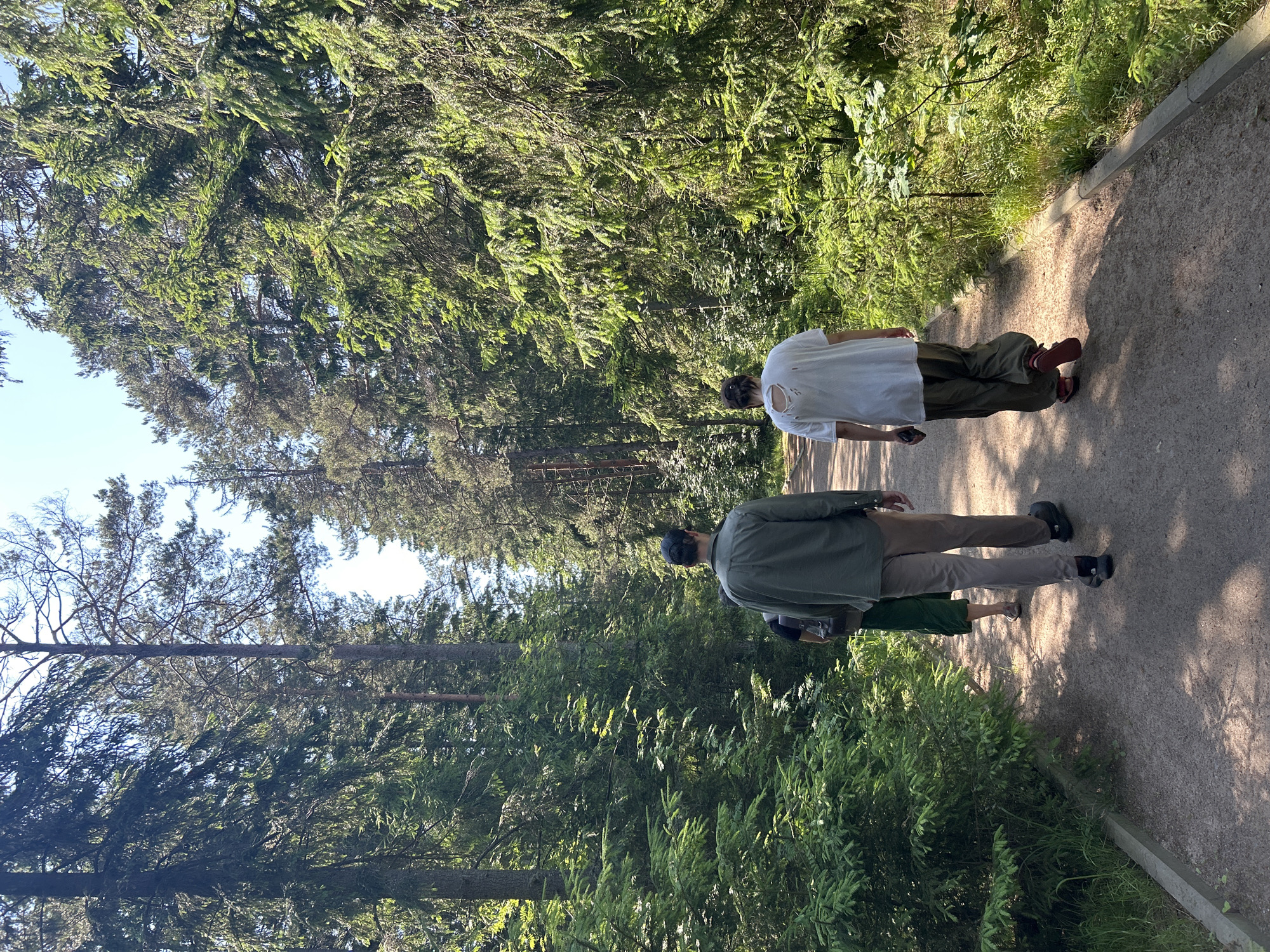 Three people are walking on a dirt path through a dense forest. The person in the foreground on the left is wearing a green long-sleeved shirt and tan pants, with a black baseball cap. The person in the middle is wearing a dark top and a green skirt. The person on the right is wearing a white t-shirt with holes in the back and olive green pants. The path is lined with trees and undergrowth. The sun is shining through the trees, creating shadows on the path. The location is identified as Shepelyovo, Russia.