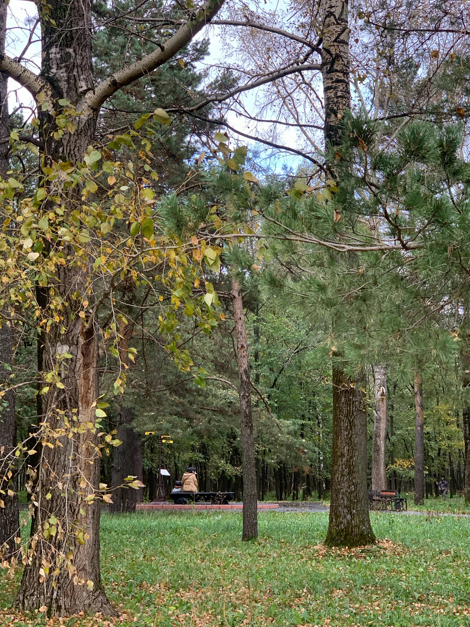 A natural park in Prokopyevsk, Russia, features a pathway winding through trees. In the mid-ground, a person wearing a tan jacket sits on a bench in front of a black structure, possibly a musical instrument stand. Another individual, partially obscured, sits to their left. In the background, to the right of the path, a person walks away from the camera. The ground is covered in green grass and fallen leaves, indicating an autumn season. The sky is overcast.