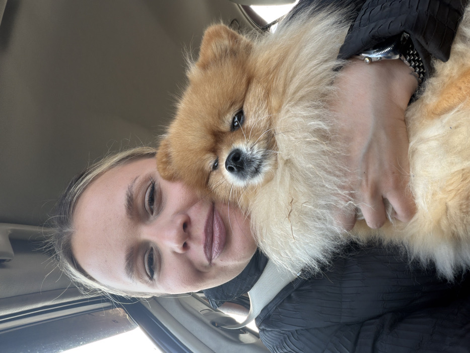 The image depicts a female individual and a Pomeranian dog inside a vehicle. The specified location is Povarenki, Russia. The woman, positioned on the left side of the frame, has light-colored hair pulled back and is wearing a dark, textured garment, secured by a light-colored seatbelt across her chest. She has light-colored lipstick and is looking directly at the camera with a slight smile. Her left arm supports the dog, and a metallic watch with a patterned band is visible on her left wrist. The dog, a small breed with fluffy, predominantly orange-brown fur and lighter cream-colored underparts, is held against the woman's chest, facing the camera. It has dark eyes and a dark nose, and its expression is neutral. The background shows parts of the car's interior, including the headliner and a window frame on the left, indicating an indoor vehicular setting. The composition suggests a close-up selfie captured within the moving or stationary vehicle.