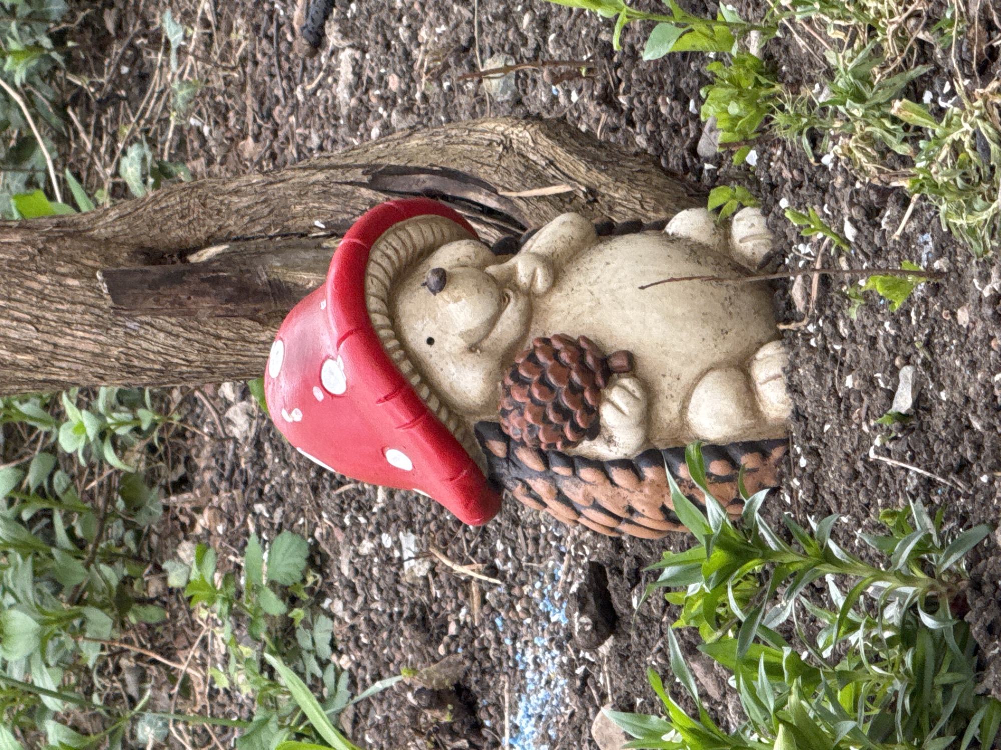 The image displays an outdoor garden scene, featuring a garden ornament prominently placed on the ground. The central subject is a light-colored, possibly ceramic or concrete, statue resembling a plump, sleeping forest creature or gnome. It is depicted lying on its back, with its head slightly raised and a contented expression. A vibrant red, mushroom-shaped hat with white spots covers its head. The creature holds a brown pinecone in its hands, and its body rests on what appears to be a textured, basket-like base.
Behind the statue, a thick, weathered wooden log or branch stretches horizontally across the frame. The ground beneath and around the statue is composed of dark, loose soil, interspersed with small white fragments. Various green plants and foliage are scattered throughout the scene, indicating a natural, unkempt garden environment. Notably, a small cluster of bright blue granular material, possibly fertilizer or pest control pellets, is visible on the soil near the statue's lower body.
The scene is static, capturing the garden ornament in its resting state. The lighting appears natural and diffused, suggesting daytime without harsh direct sunlight. No discernible activity is taking place beyond the presence of the statue in its environment. There is no visible text in the image.
