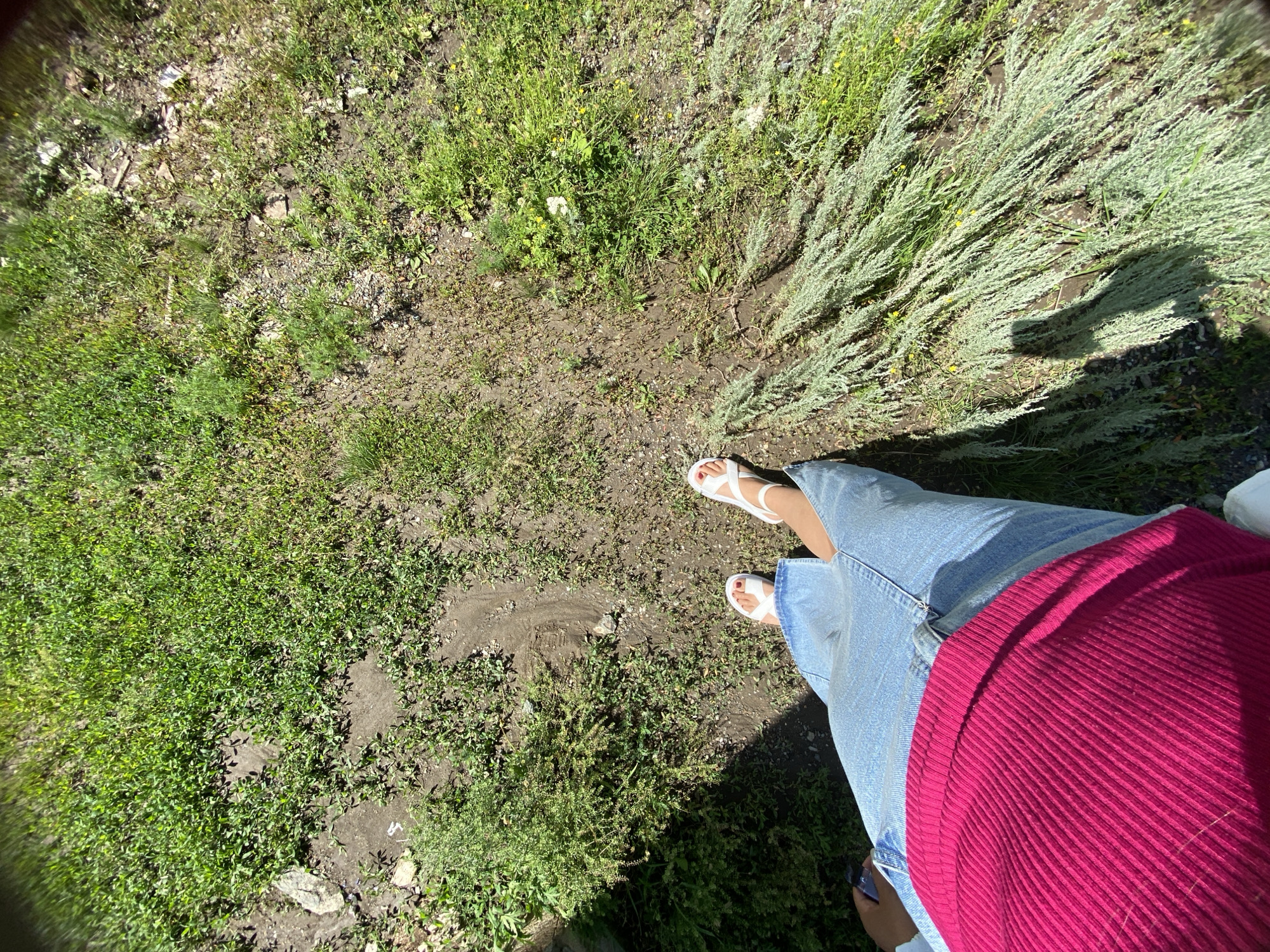 A person stands in a grassy area with sparse patches of dry dirt. They are wearing a pink ribbed sweater and a light blue denim skirt. White sandals with a strap across the toes are on their feet. The scene is outdoors, with sunlight casting shadows on the ground. The surrounding vegetation consists of green grass and tall, wispy plants. The location is the city of Yuldybayevo, Russia.