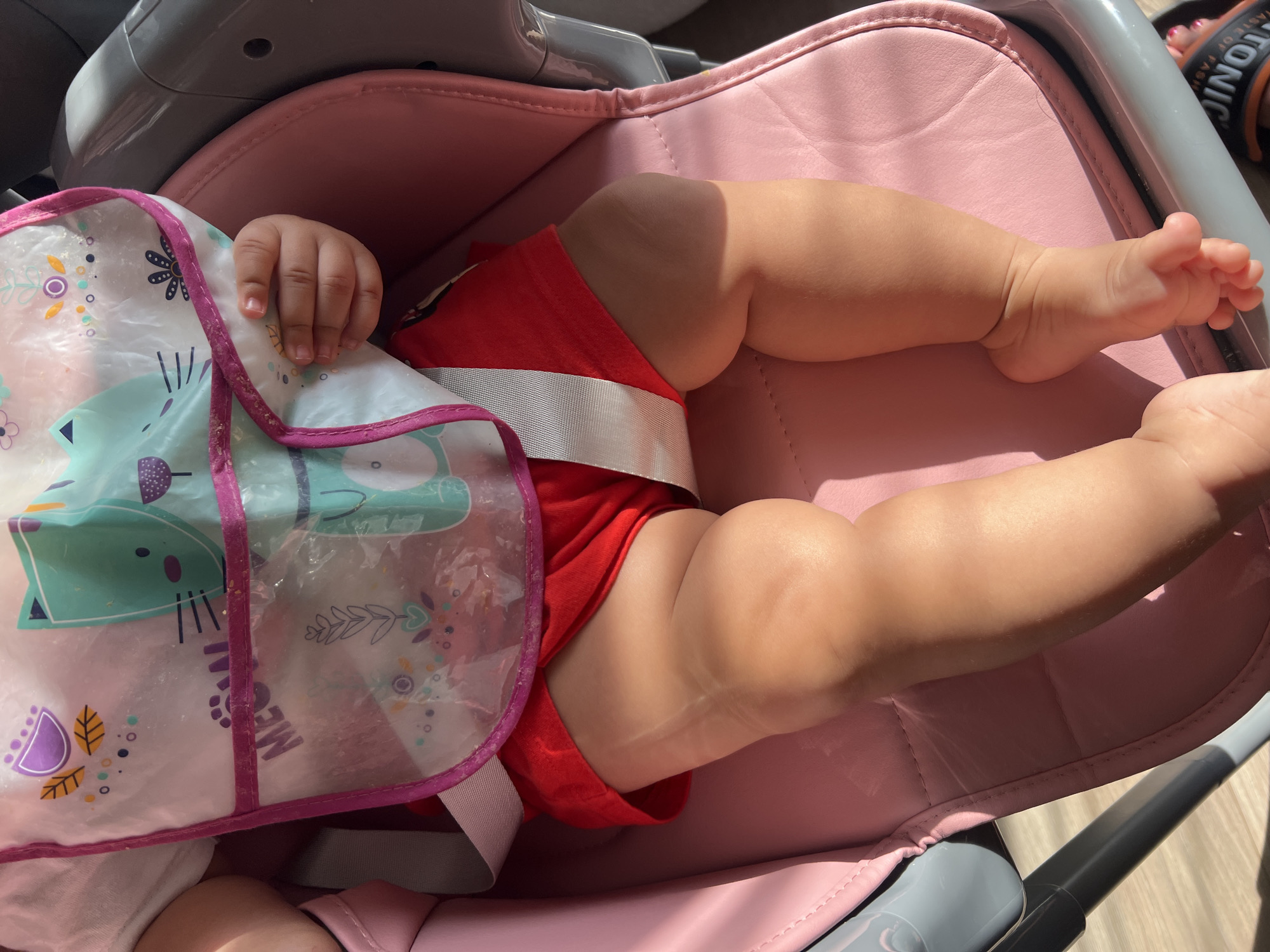 A close-up shot shows the legs and torso of a baby sitting in a pink high chair. The baby is wearing a red garment and a bib with cartoon cat images. The high chair is made of pink leather and gray plastic. The scene is brightly lit by natural sunlight. The image does not contain any elements that indicate a specific location in Plovdiv, Bulgaria.