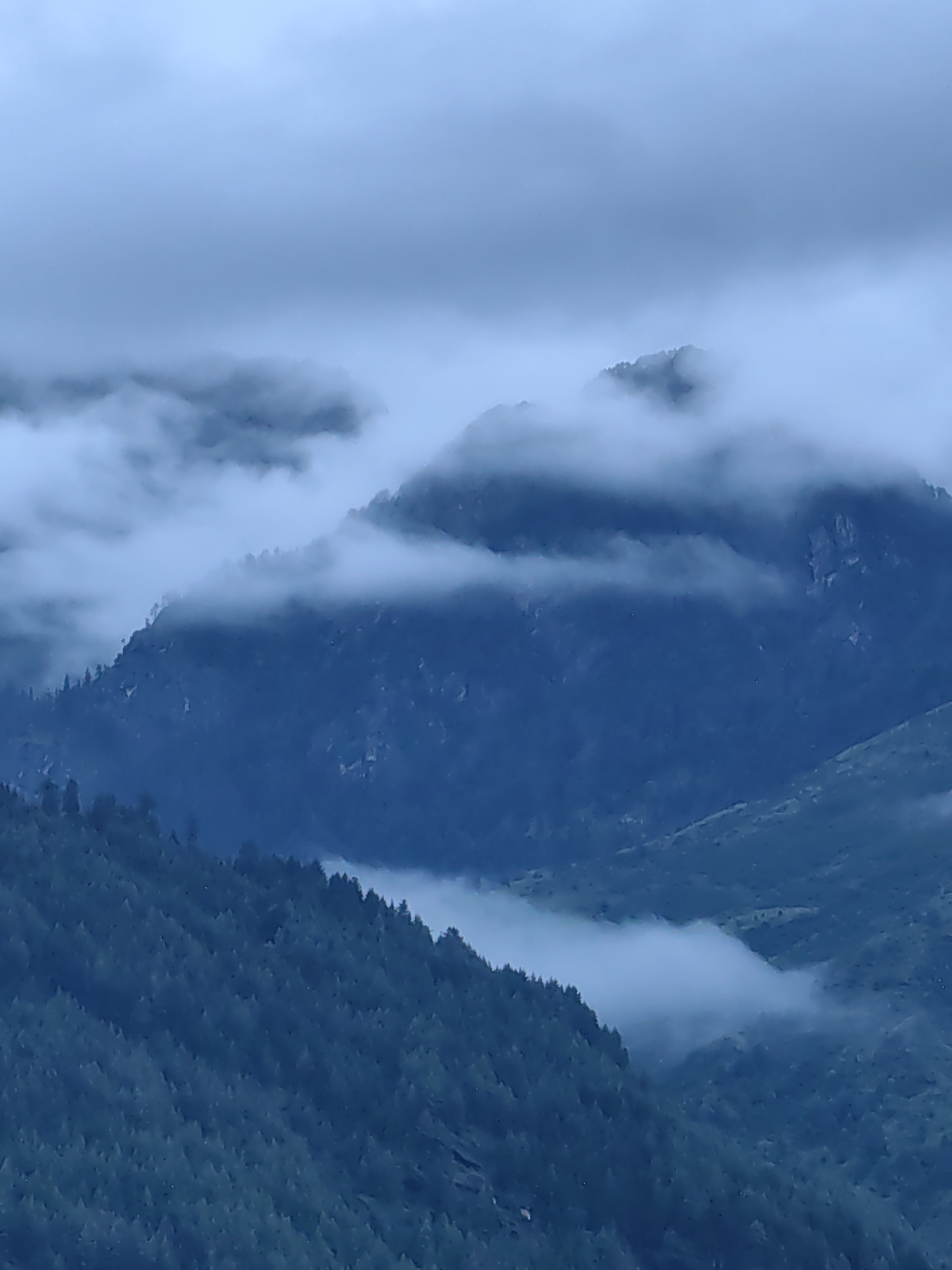 The image shows a mountainous landscape partially obscured by fog and clouds. The foreground is dominated by a steep, densely forested mountainside. The trees appear dark and are difficult to distinguish individually due to the lighting and fog.
In the mid-ground, larger mountain peaks rise, with layers of soft, white fog clinging to their slopes and summits. Some rocky outcrops are visible through the fog on these higher peaks. The fog creates a sense of depth and mystery, obscuring the full extent of the mountains.
The sky above is overcast and a uniform light gray, blending with the fog and the tops of the mountains. The overall impression is one of a cool, damp, and serene mountain environment. The specific location is Vashisht, India.