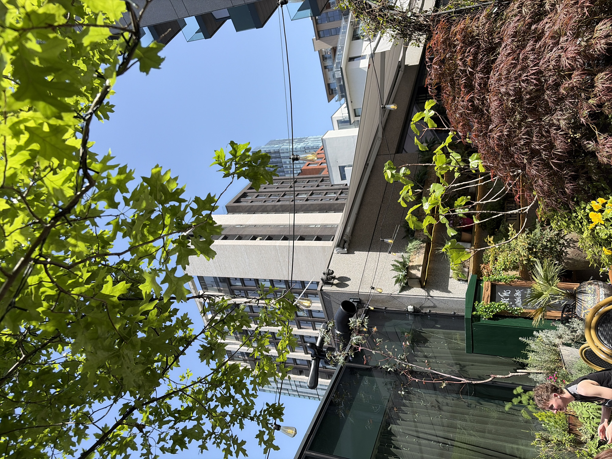 The image shows an outdoor space in Salford, United Kingdom. The view looks up through the branches of trees and between buildings. The buildings are a mix of modern high-rises with glass and concrete exteriors. String lights are strung between the buildings. In the foreground, there is a seating area with plants, including a sign with text on it. A person is visible in the lower right corner of the frame. The sky is blue and clear.
