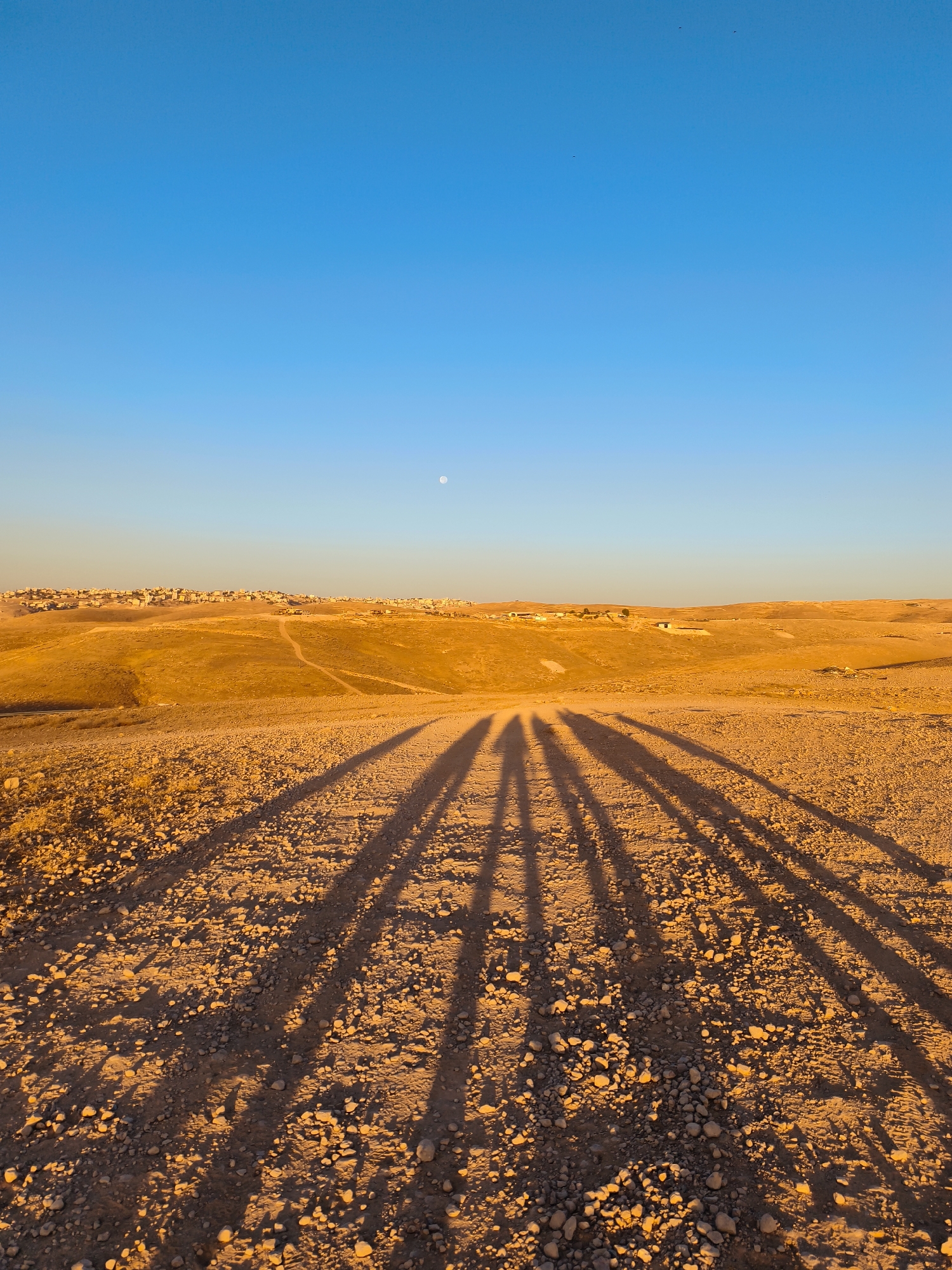 A low-angle, wide shot captures a desert landscape under a clear, bright blue sky, with a small, pale moon visible near the horizon. The foreground is a dirt path covered in small, light-colored stones and pebbles, casting long, dark shadows from an unseen source to the left, suggesting the presence of people. The shadows are elongated and parallel, indicating a low sun angle, likely during sunrise or sunset.
In the middle ground, rolling hills of dry, golden-brown terrain stretch towards the horizon. A distant settlement, characterized by a cluster of light-colored buildings, is visible on the crest of a hill on the left side of the image. The terrain appears arid and sparsely vegetated. The overall lighting suggests a warm, late afternoon or early morning light bathing the landscape in a golden hue. The environment is desolate and natural, with the settlement appearing as a small human imprint on the vast desert.