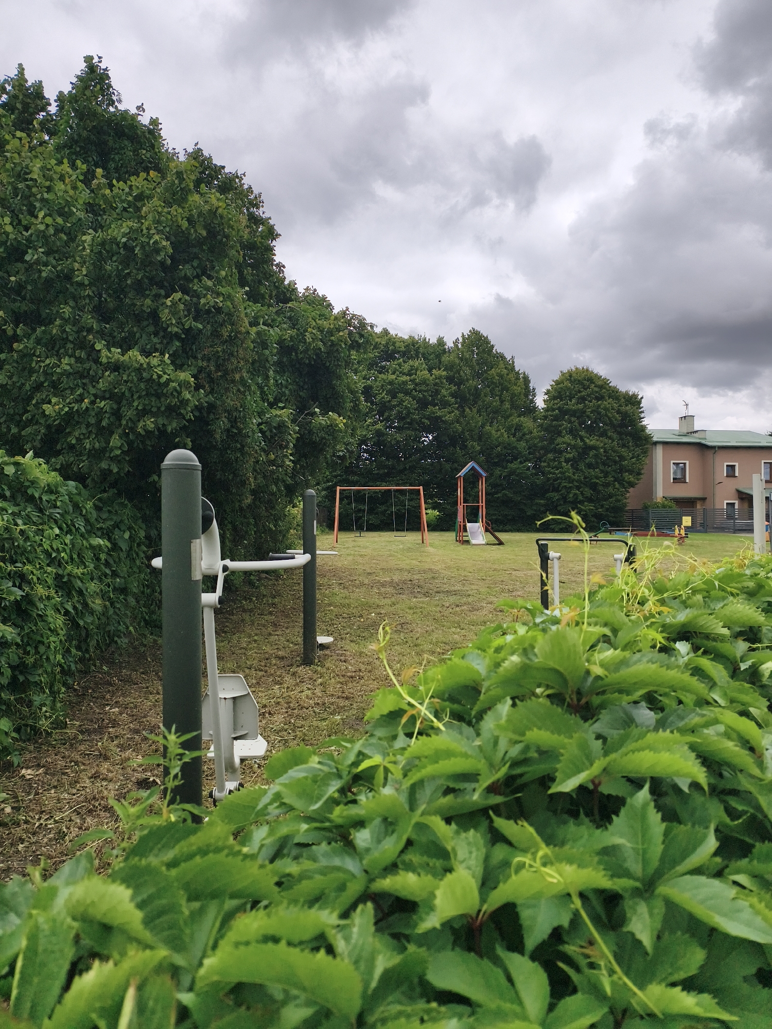 The image depicts an outdoor recreation area with a playground and exercise equipment, likely located in Tczew, Poland, given the surrounding architecture and vegetation. In the foreground, a dense cluster of green leafy vines partially obscures the view. Behind the vines, a piece of white and gray outdoor fitness equipment stands prominently. Further back, a grassy field contains a playground set with swings and a slide. In the background, a building with a light brown facade and a green roof is visible, along with a line of lush green trees. The sky is overcast with heavy gray clouds, suggesting a potentially damp or cool day. No people are present in the scene.