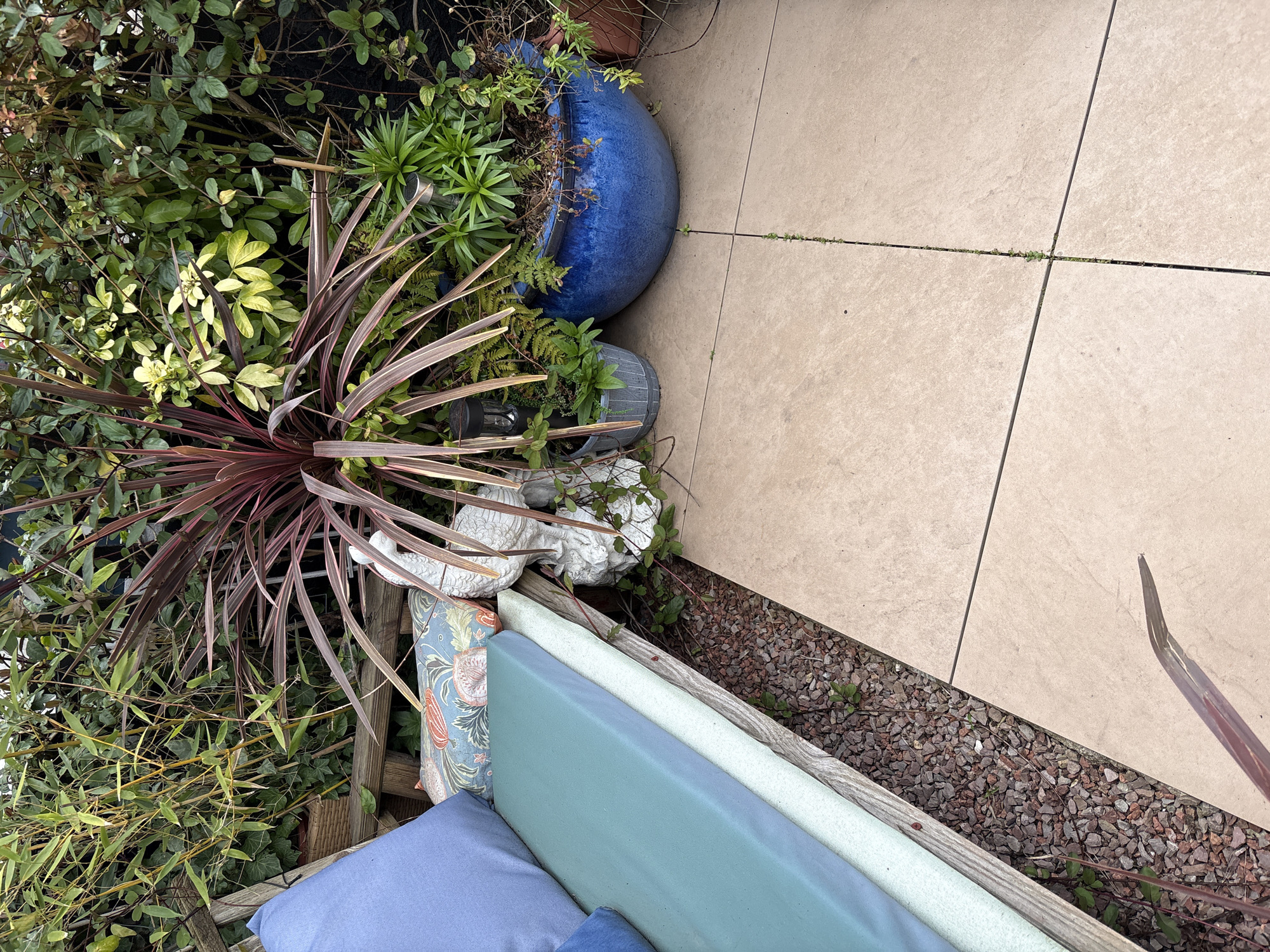 The image depicts an outdoor garden scene in Shrewsbury, United Kingdom. It includes a variety of plants and garden elements: a potted plant with spiky red leaves, various other greenery, a blue ceramic pot filled with plants, a smaller pot, and decorative swan figurines. A wooden fence or structure is partially visible, adjacent to which are stacked blue and patterned cushions and a foam mattress. The ground surface transitions from paving stones to an area covered with small gravel. Weeds are visible growing in the cracks between the paving stones and within the gravel.