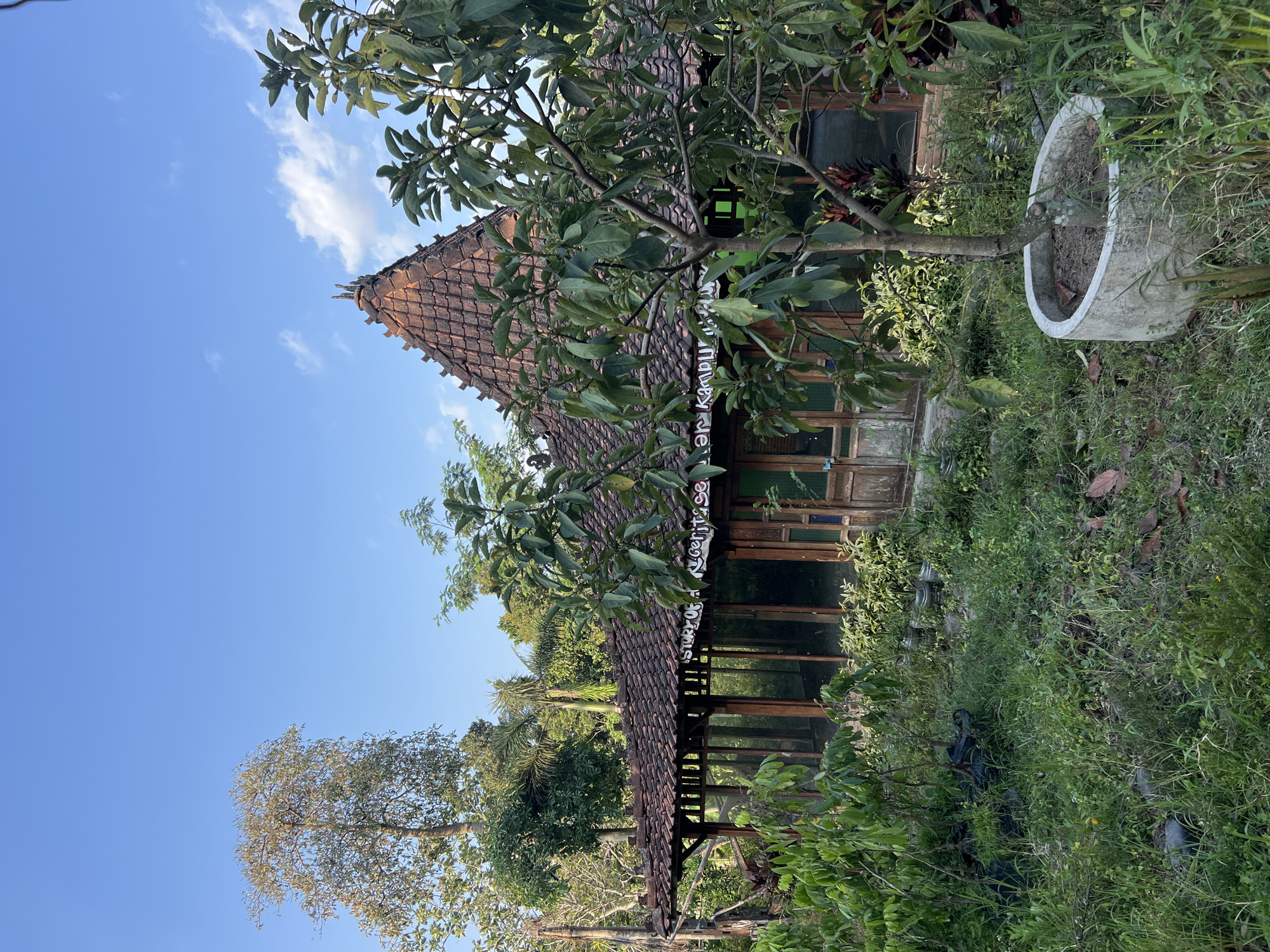 A wooden building with a tiled roof stands in a lush, overgrown garden in Tlogoadi, Indonesia. The building features large glass windows and ornate wooden doors. The garden is filled with a variety of trees and plants, some of which appear to be fruit-bearing. The sky is clear and blue with a few wispy clouds. A young tree in a concrete pot is in the foreground. The overall scene suggests a peaceful and tranquil setting.