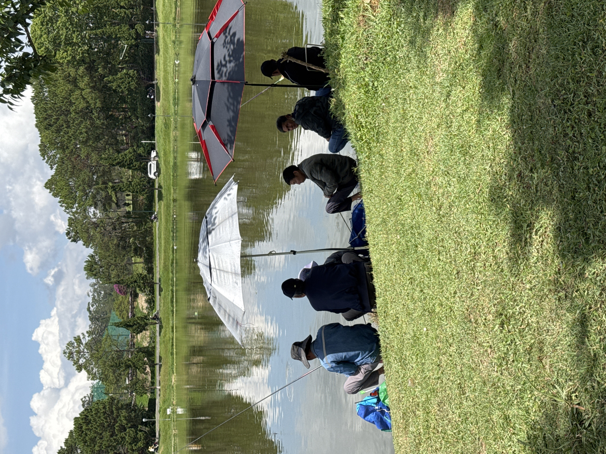 The image depicts a tranquil scene at a lake in Da Lat, Vietnam, where several people are engaged in fishing. Five individuals are visible, each positioned along the grassy shoreline. They are mostly crouched or kneeling, holding fishing rods, and appear focused on the water.
Two large umbrellas are present, one a dark gray with red trim and the other silver. These provide shade for the fishermen. Fishing gear, including bags and equipment, is scattered near the individuals.
The environment is characterized by a calm lake reflecting the sky, bordered by lush green grass and trees. In the background, more trees and glimpses of buildings are visible, typical of Da Lat's landscape. The sky is partly cloudy.