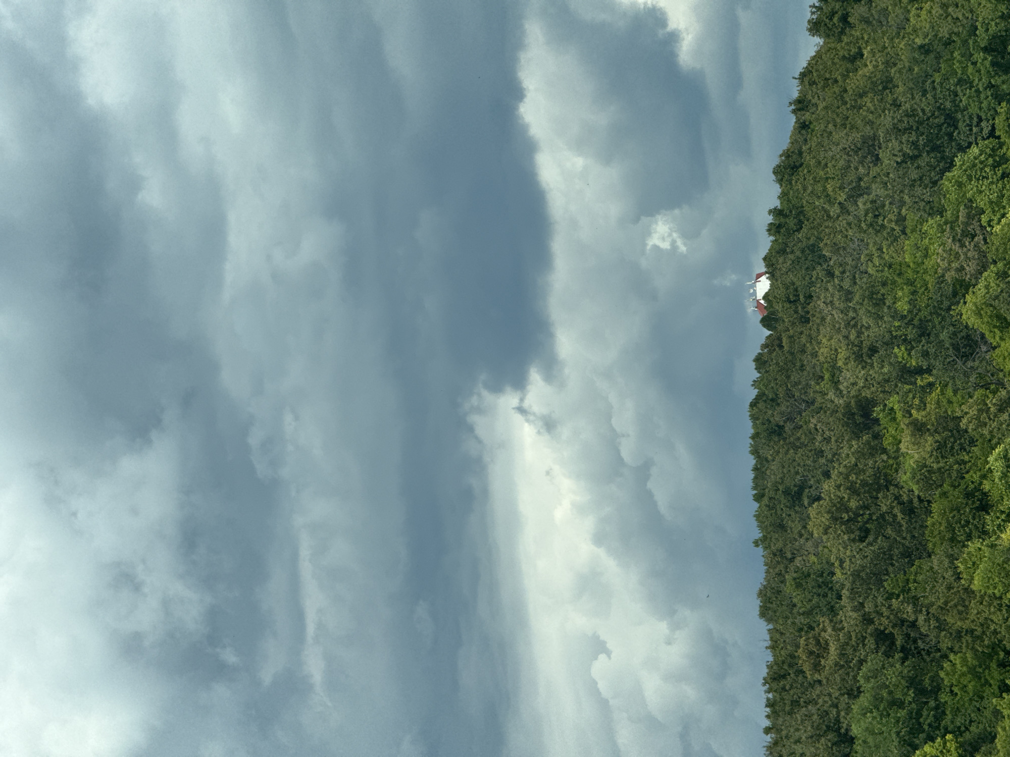 The media file displays a landscape scene with a dense, green forest covering the right side of the frame. The forest is composed of numerous trees with lush foliage, suggesting a natural, perhaps wooded, environment. To the left of the forest, the sky is filled with dramatic, dark gray clouds, indicating overcast or stormy weather. The clouds appear thick and textured, with some lighter patches suggesting breaks in the cloud cover or varying densities.
In the upper portion of the image, nestled within the forest line, a small white structure with a red roof is visible. It appears to be a building, possibly a small house or a fire lookout tower, given its isolated position on the treeline. The contrast between the dark clouds and the vibrant green of the trees is striking.
The orientation of the image is unusual, with the forest appearing to run vertically along the right edge and the clouds dominating the left. This suggests the photograph may have been taken with the camera tilted or rotated. There are no visible people or animals in the frame. The overall mood is somewhat somber due to the heavy cloud cover, but the rich green of the forest adds a touch of natural beauty. The time of day is difficult to ascertain precisely, but the lighting conditions suggest it could be late afternoon or early evening before a storm, or a generally cloudy day. There is no visible text in the image.