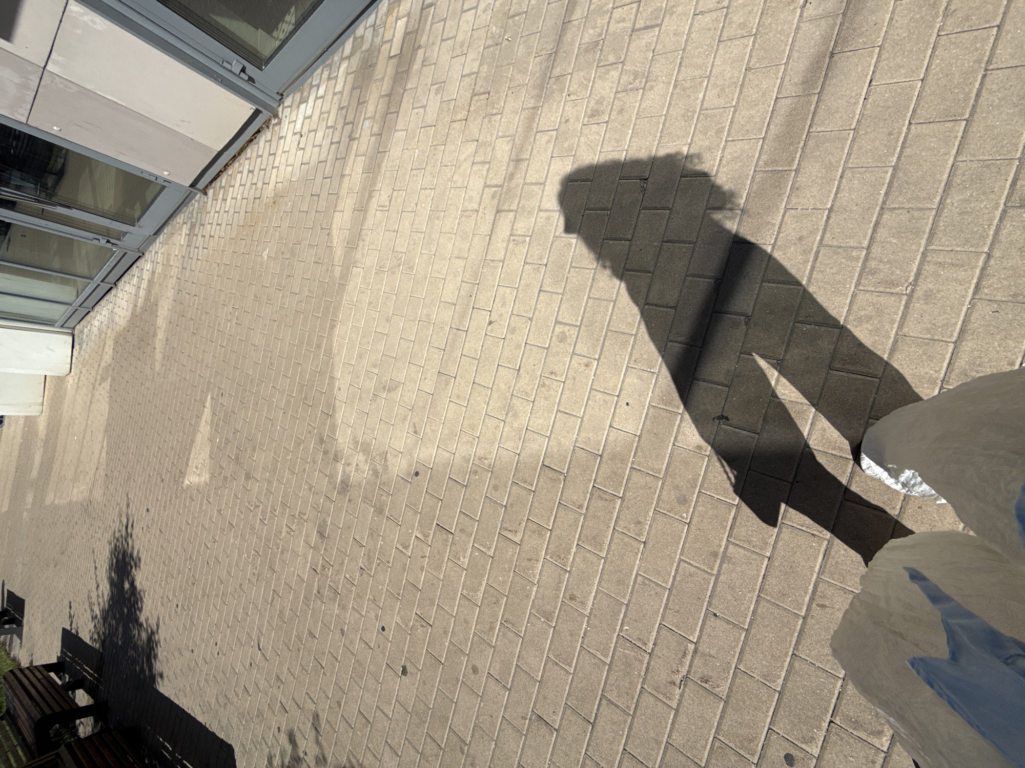 The image shows a paved walkway with a shadow of a person casting a long shadow across the bricks. In the foreground, the lower legs and feet of the person are visible, wearing white pants and silver shoes. To the left, a portion of a dark wooden bench is present, casting a shadow on the walkway. In the background, a building with large glass windows and gray siding is visible. The scene appears to be an outdoor area in a city, possibly near a commercial establishment or public space. There is no specific indication of the location being Moscow, Russia.
