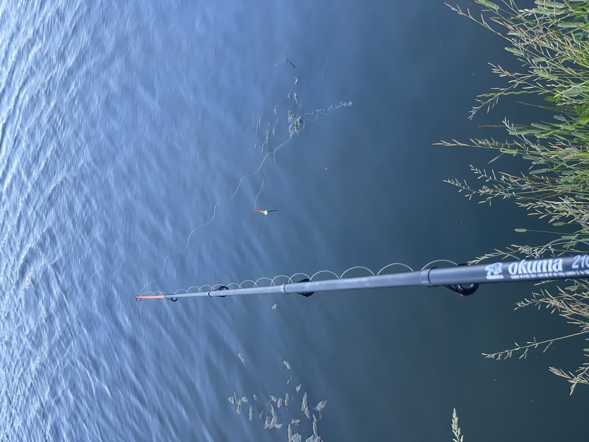 This is a first-person perspective image of a fishing rod set up on the edge of a body of water. The fishing rod is dark gray with an orange tip and is positioned diagonally from the bottom left to the top of the frame. A fishing line extends from the rod into the calm, blue water. A red and yellow bobber is visible on the line, floating on the surface. Several small clumps of aquatic vegetation are scattered on the water. In the foreground, along the bottom edge of the image, is a patch of green grass and other tall, dry grasses. The water appears to be a lake or a slow-moving river, and the overall scene suggests a peaceful, outdoor setting. The image does not contain any identifiable landmarks or clues to indicate a specific location in Saint Petersburg, Russia.